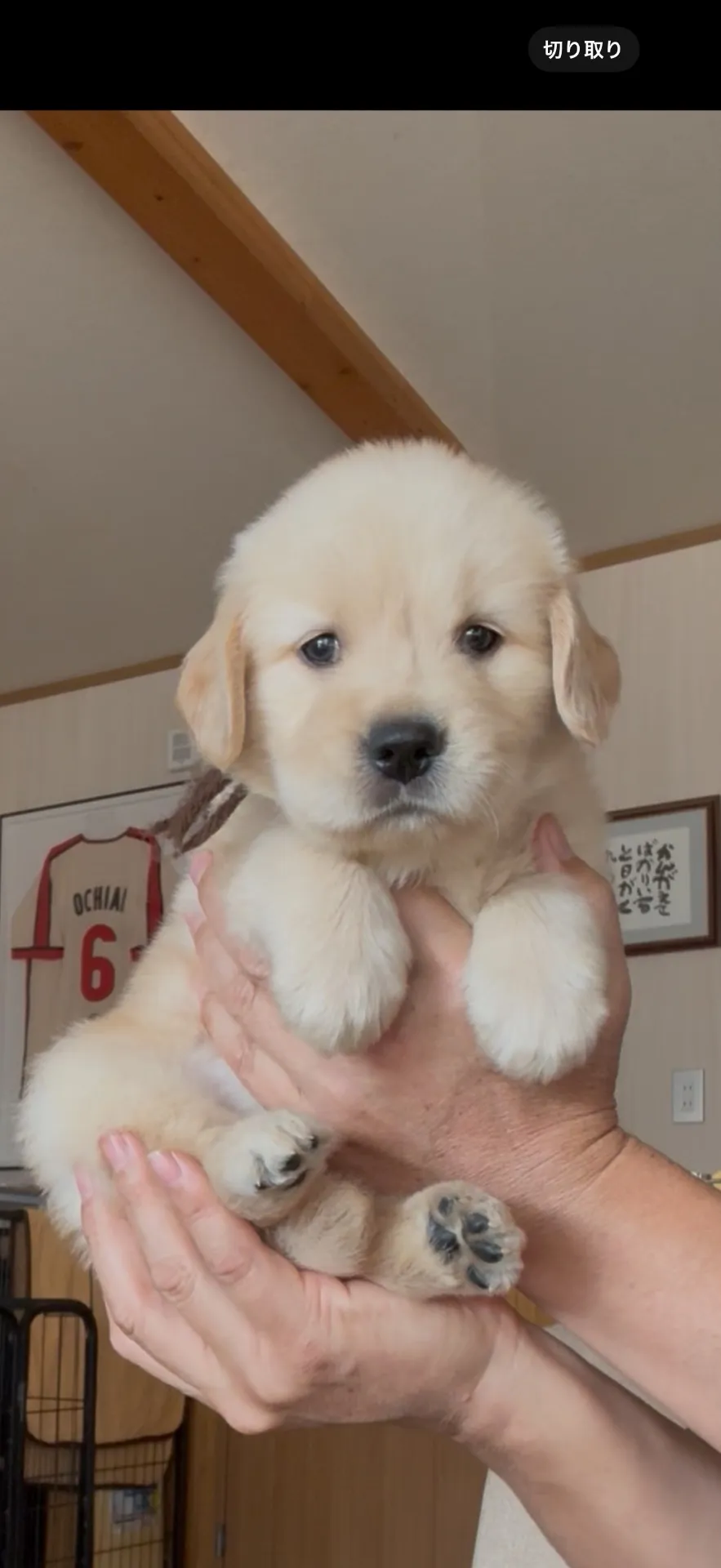 ご家族が決まりました。県内お客様ありがとございました。