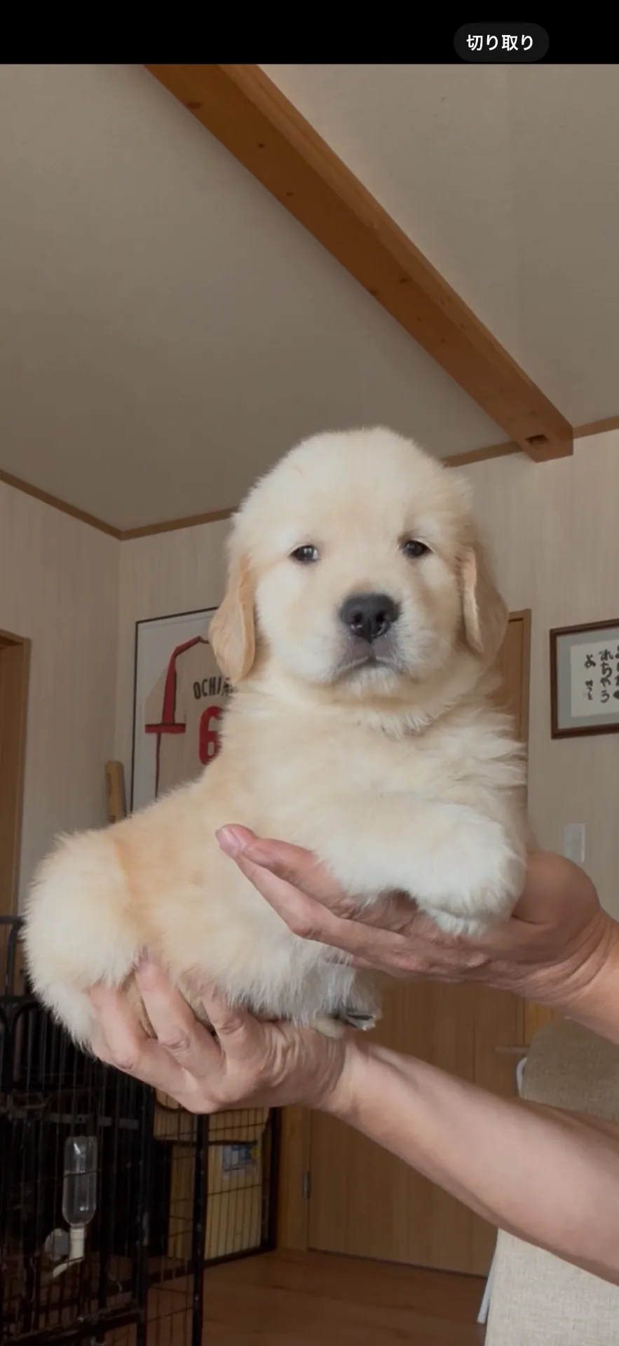 ご家族が決まりました。神奈川県お客様ありがとうございました。