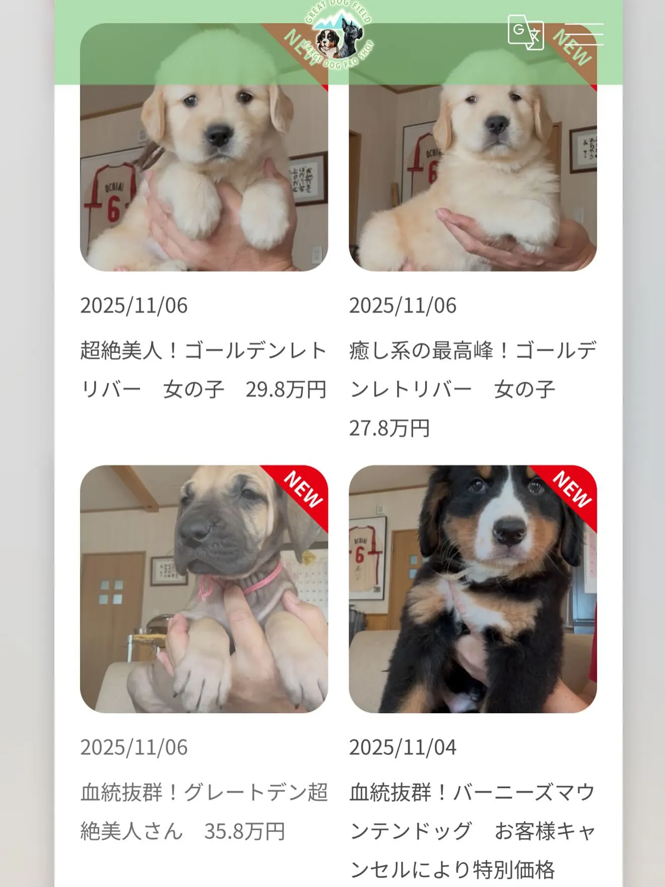ゴールデンレトリバー🐶 今回も…