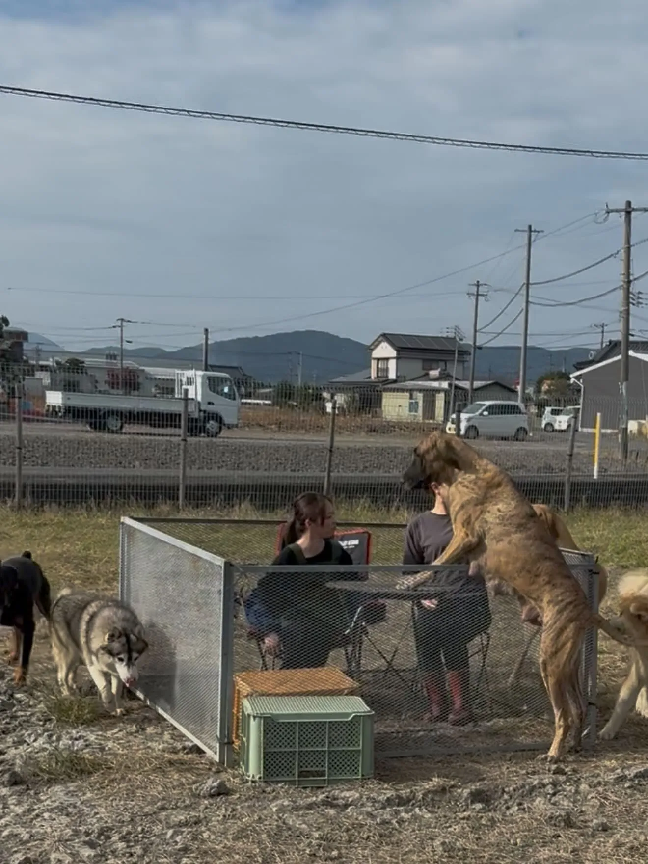 今日も一日お疲れ様でした🐶