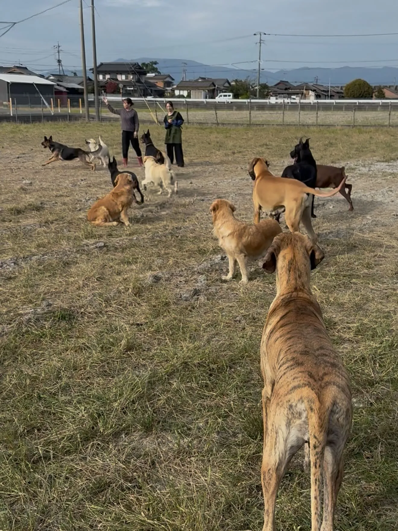 今日も一日お疲れ様でした🐶