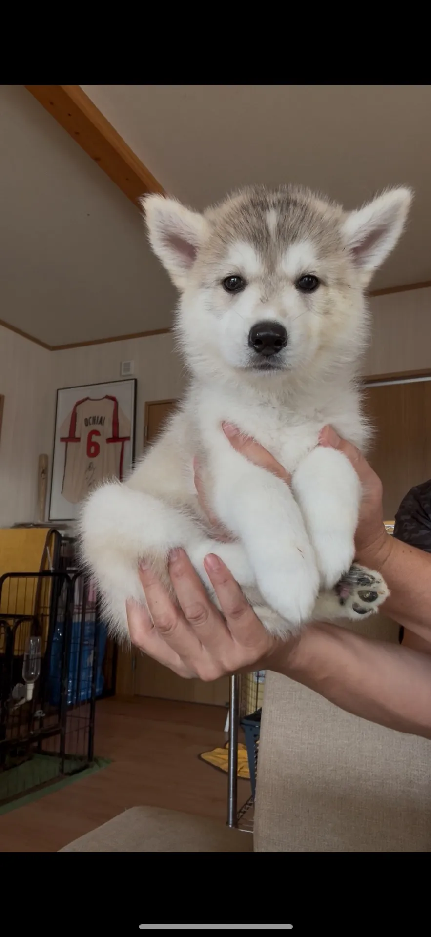 ご家族が決まりました。青森県お客様ありがとうございました。