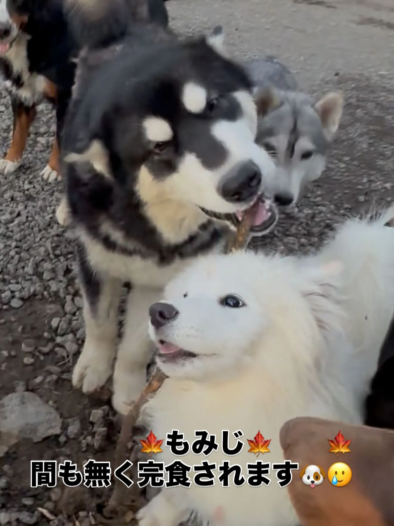 鉄以外は、全て無くなります。