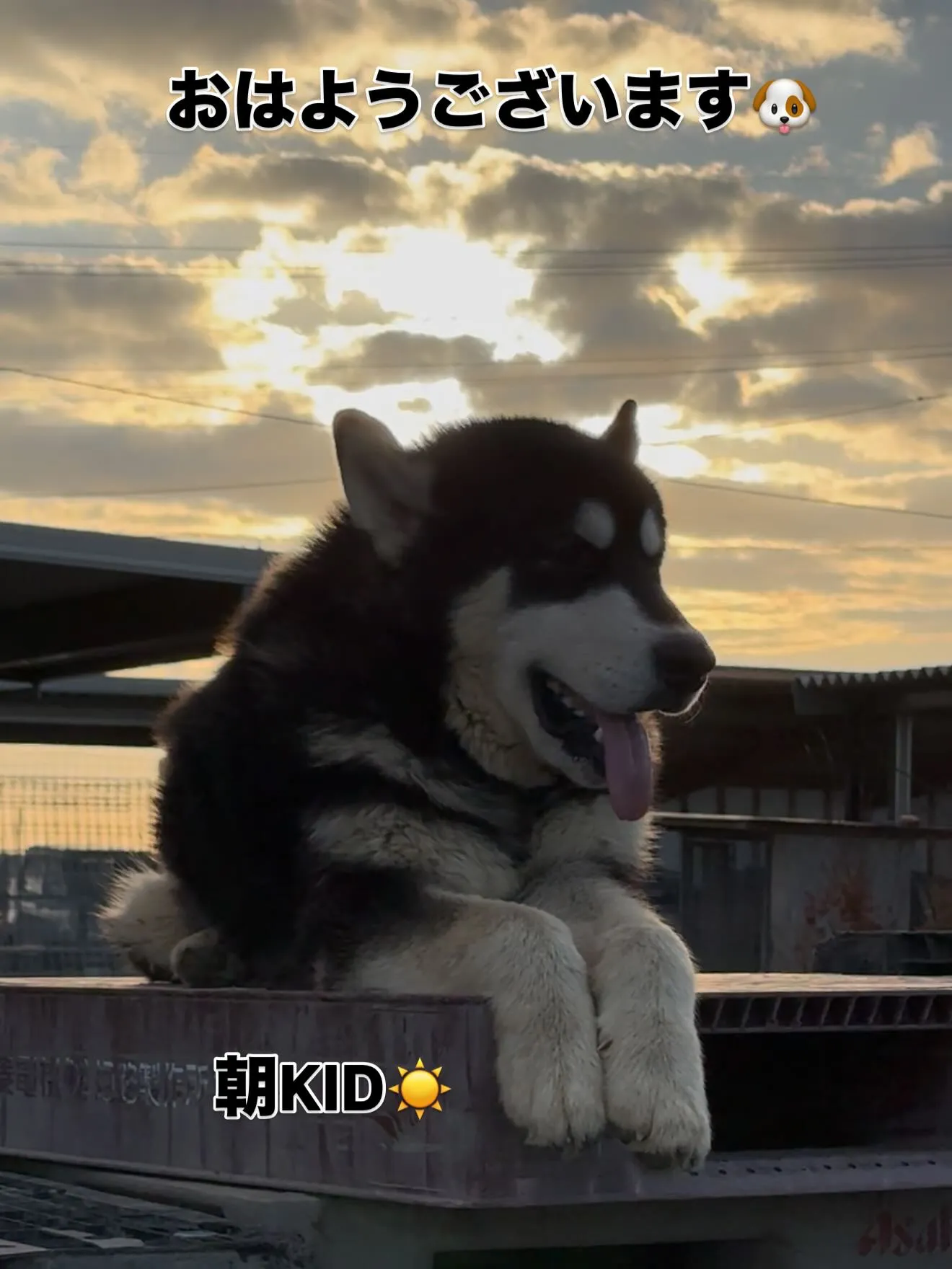 。