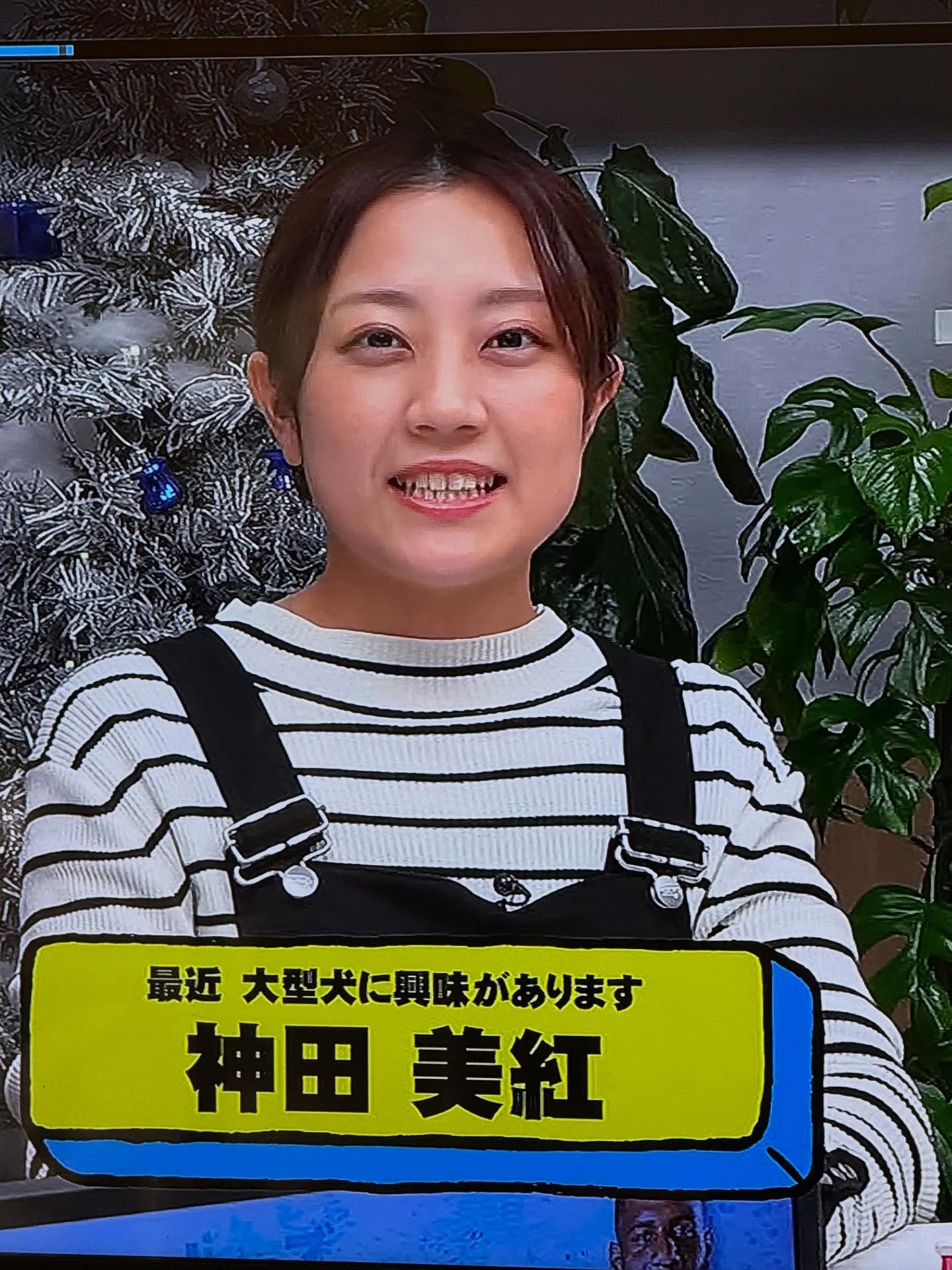 血統抜群の素晴らしいサモエド🐶