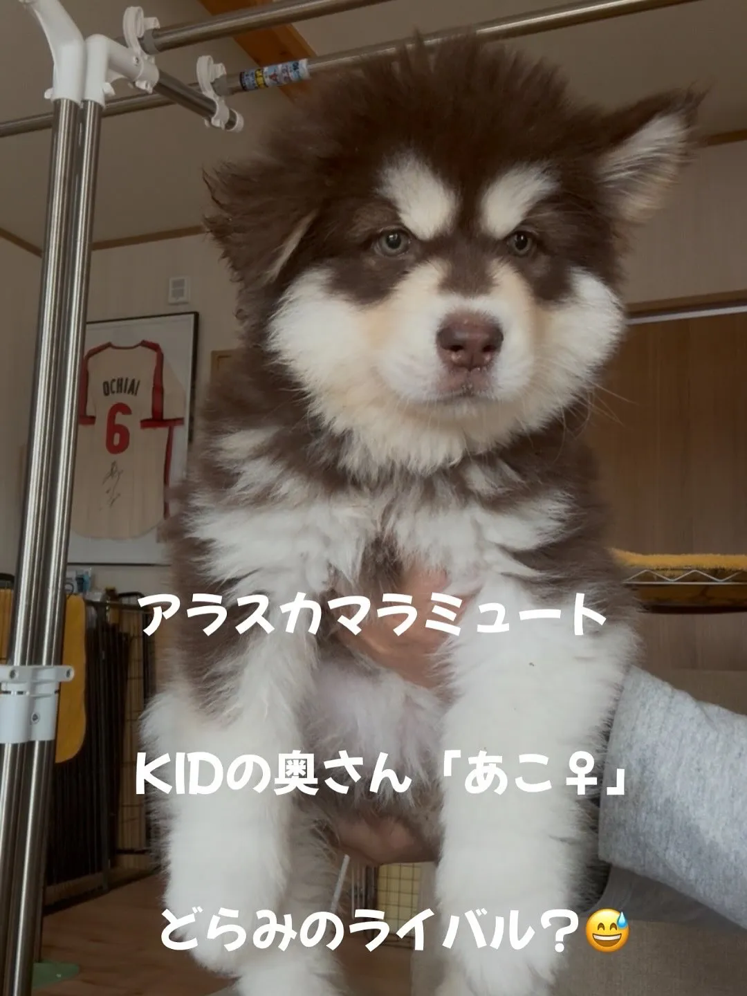 午前のひととき🐶