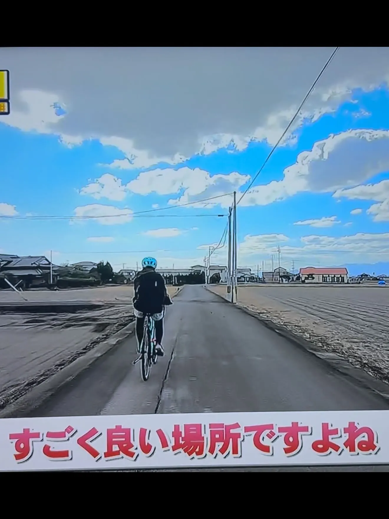 やんちゃなKIDと🥲、優しいバーニーズの雪ちゃん☺️