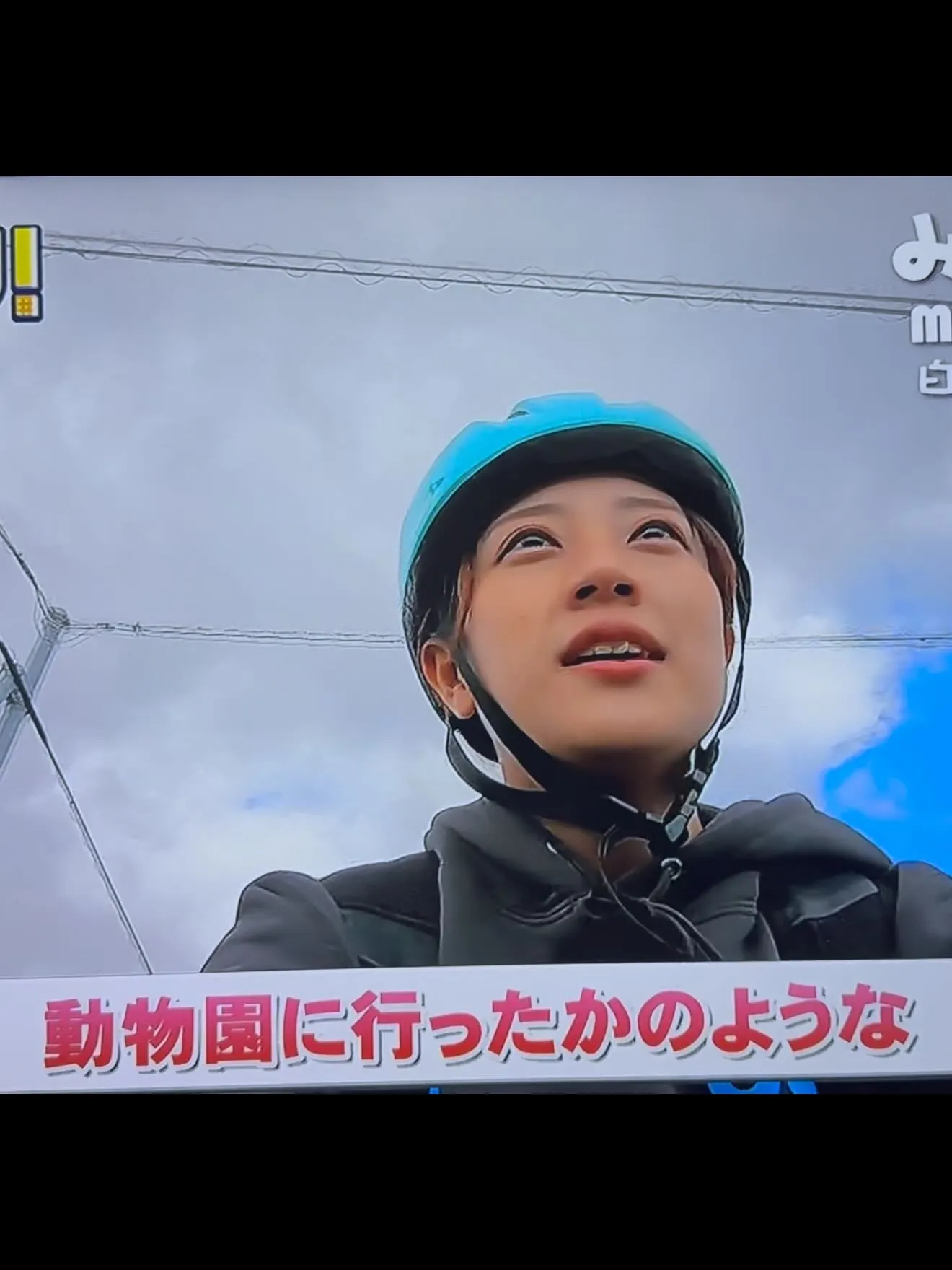 やんちゃなKIDと🥲、優しいバーニーズの雪ちゃん☺️
