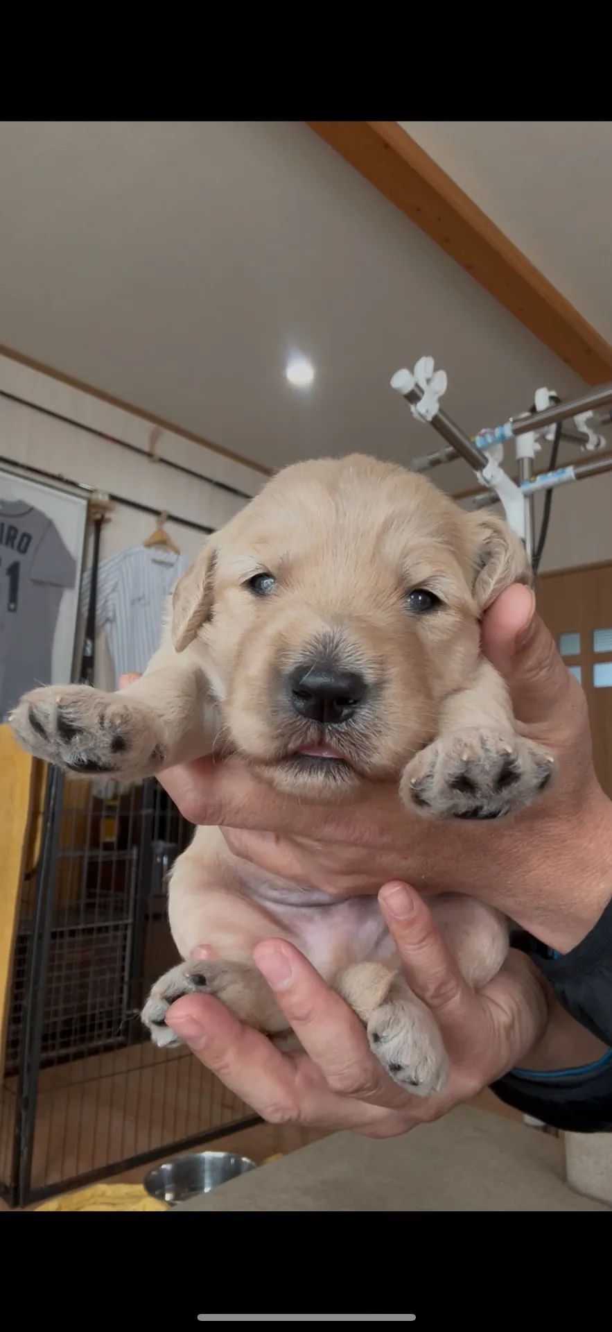 ご家族が決まりました。北海道お客様ありがとうございました。