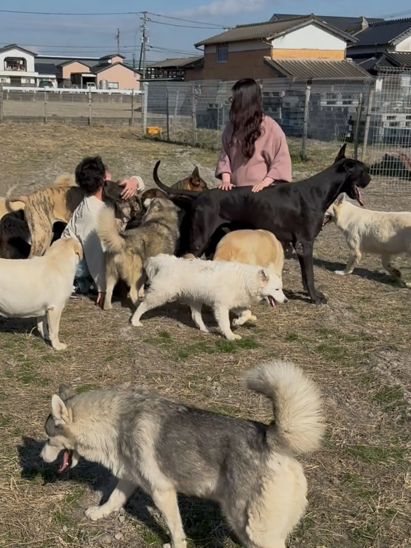 午後のひととき🐶