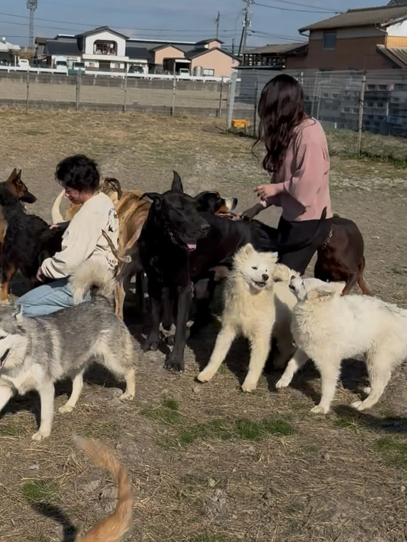 午後のひととき🐶