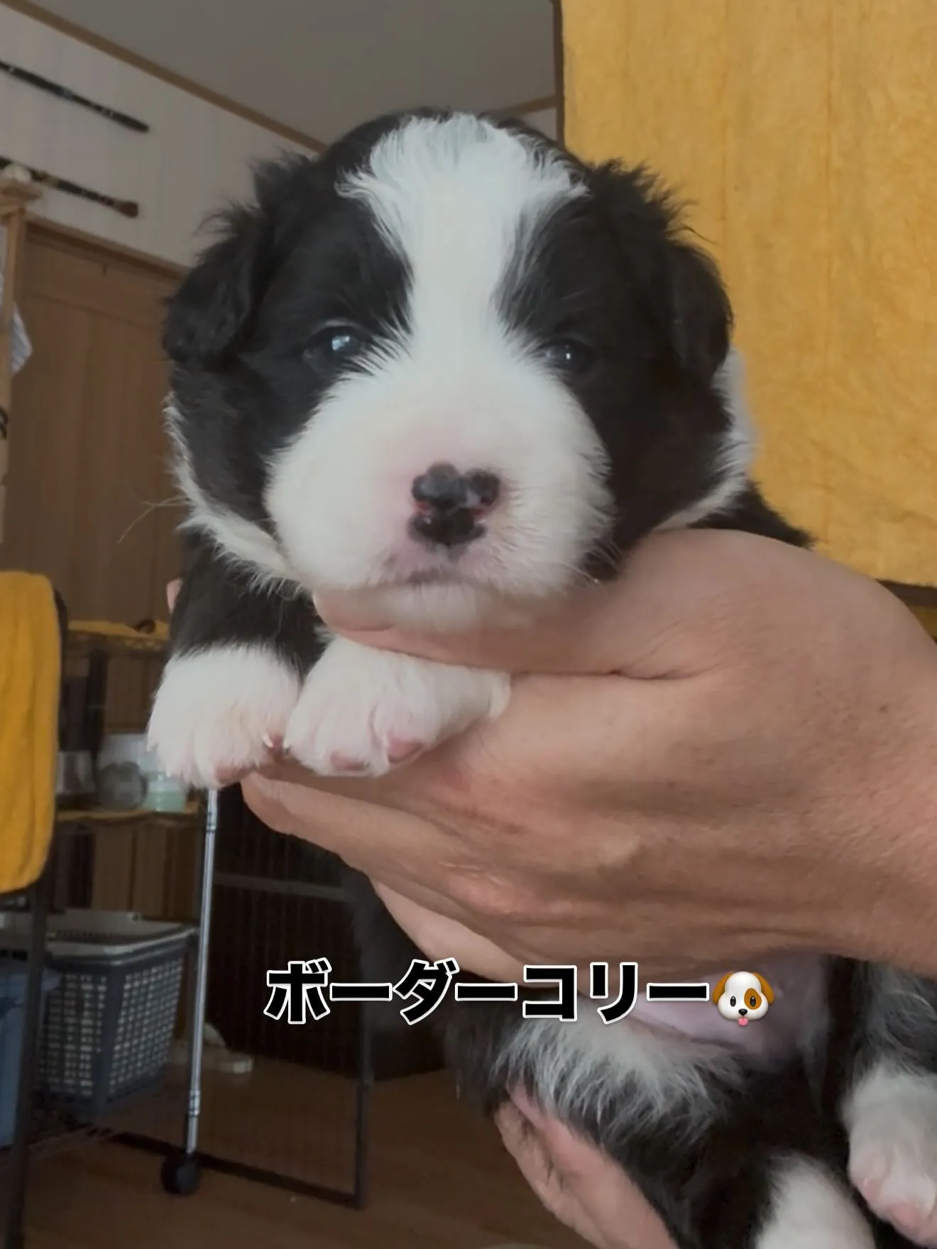 皆んなスクスクと成長しています😊