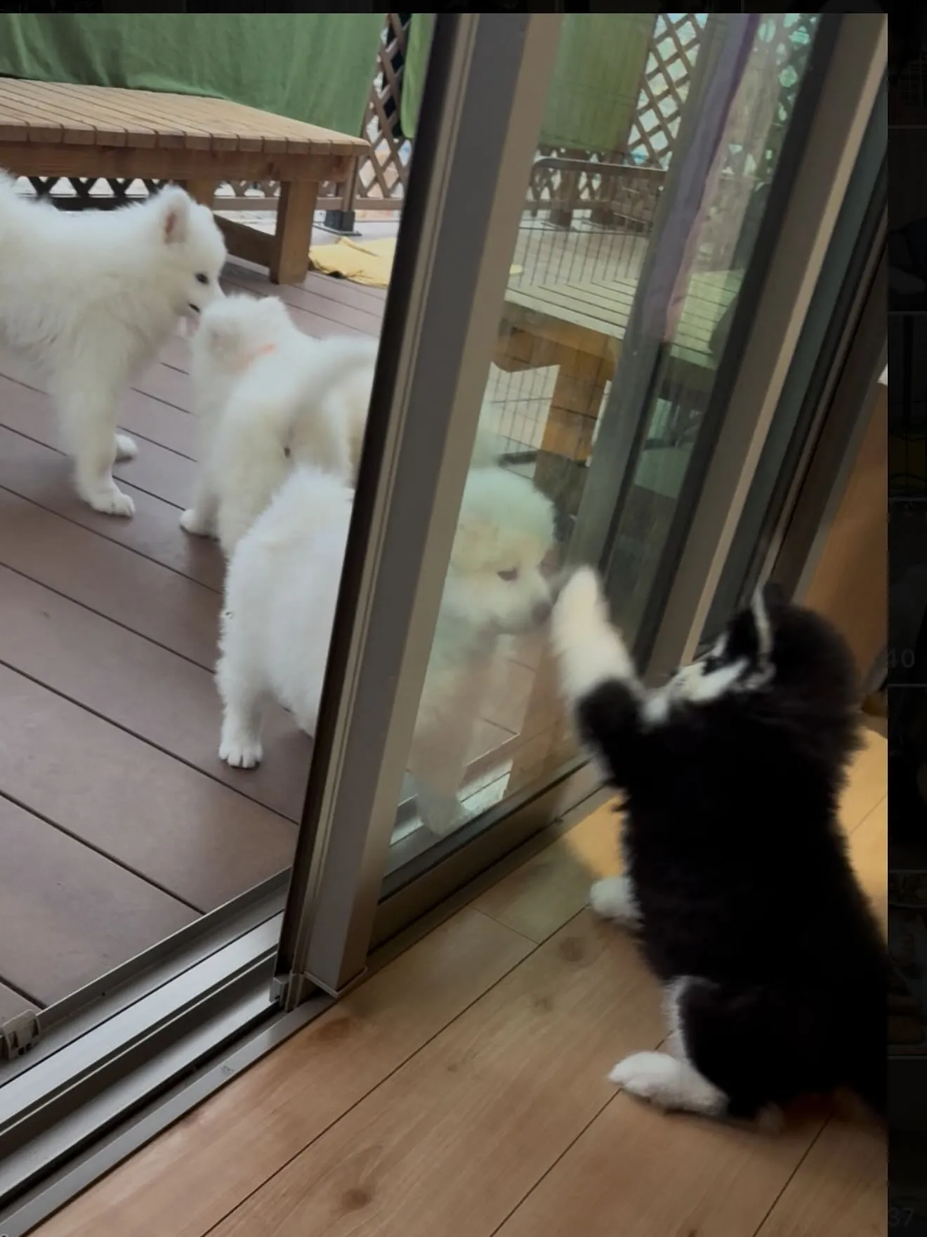 皆んなスクスクと成長しています😊