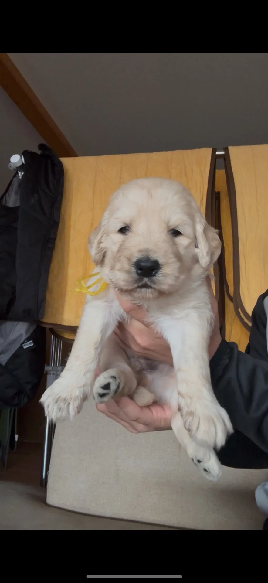 御家族が決まりました。長崎県お客様ありがとうございました。