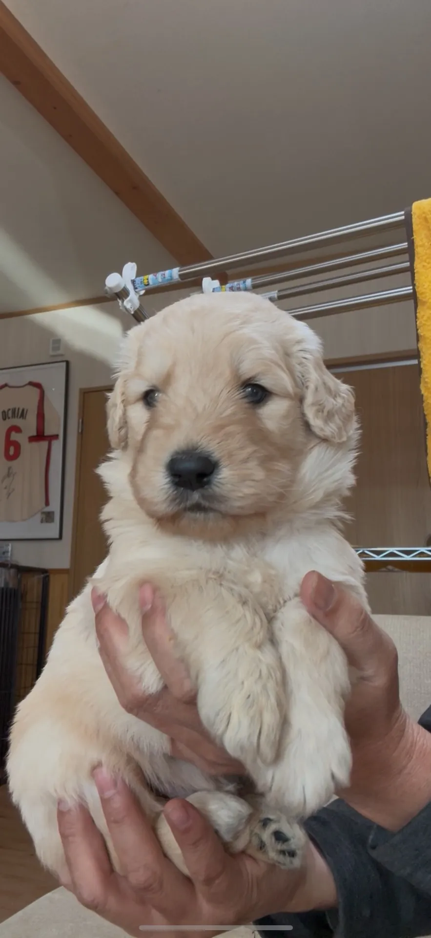 新しいご家族が決まりました。長崎県お客様ありがとうございました。