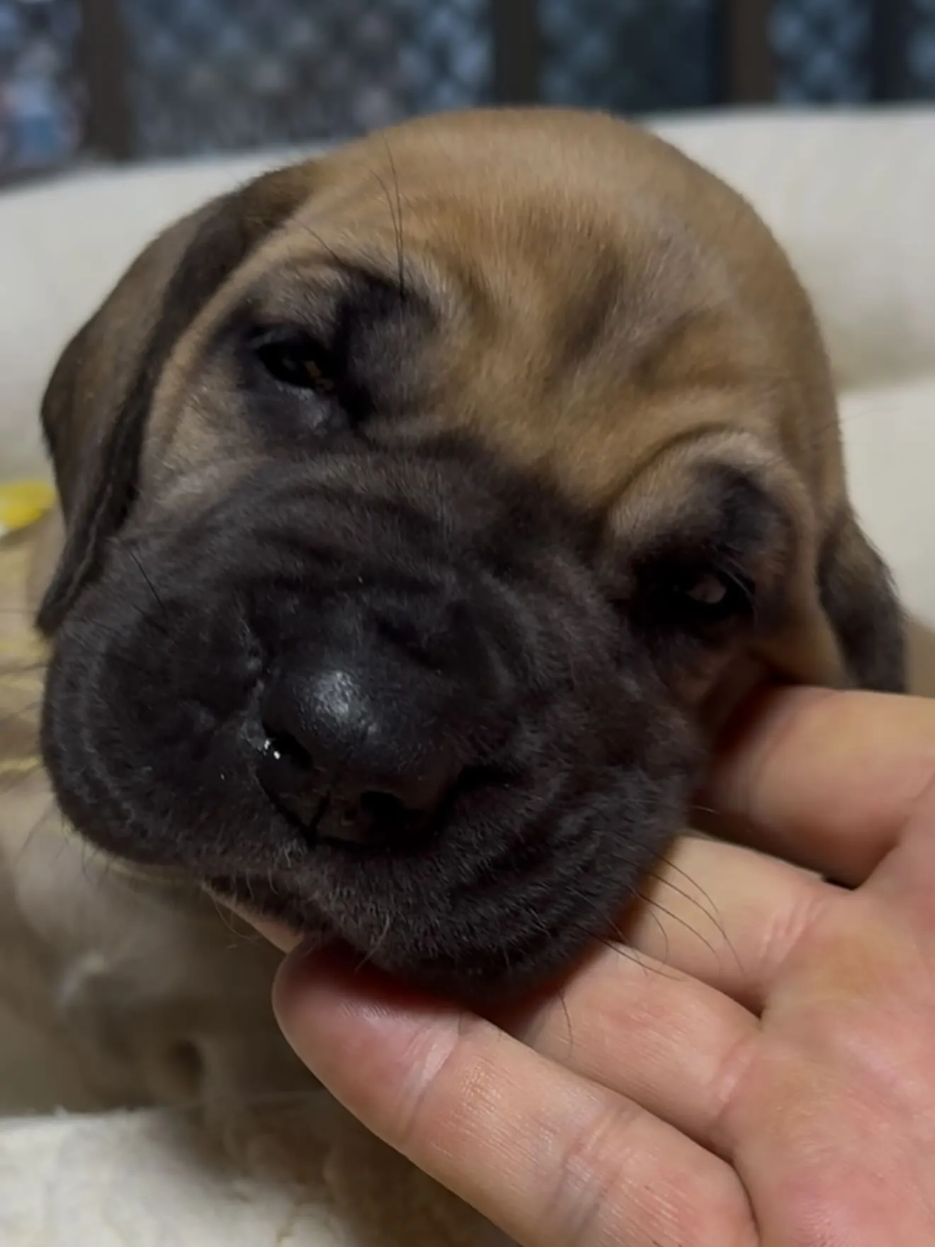 間も無く、今年一年が終わろうとしています。