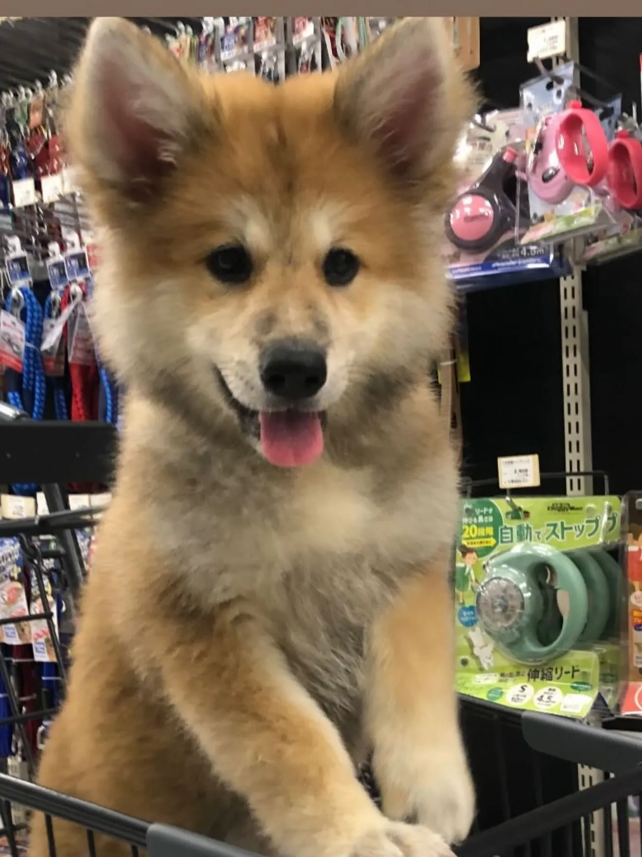 間も無く、今年一年が終わろうとしています。