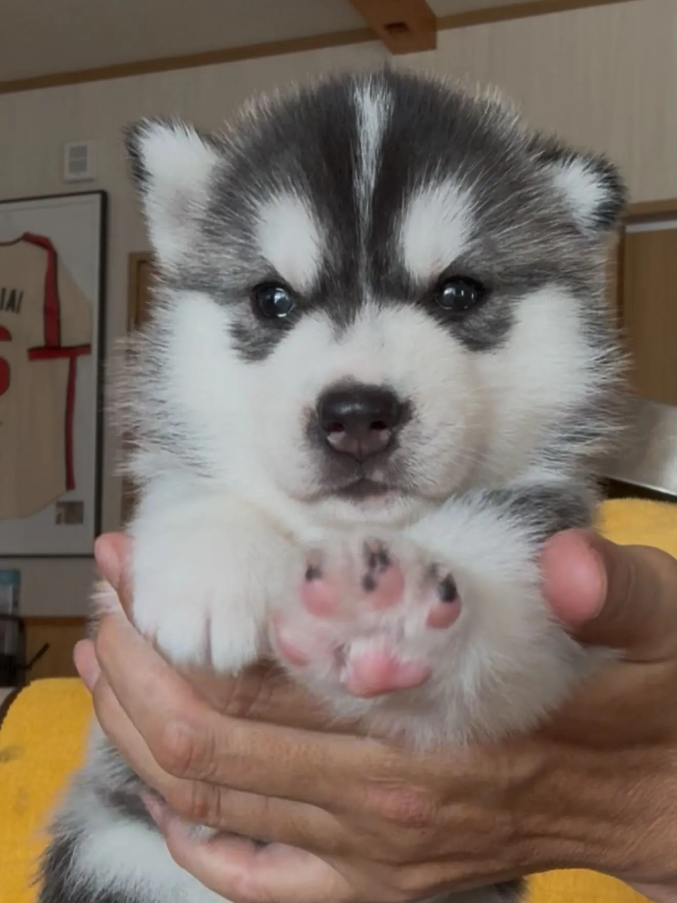 間も無く、今年一年が終わろうとしています。