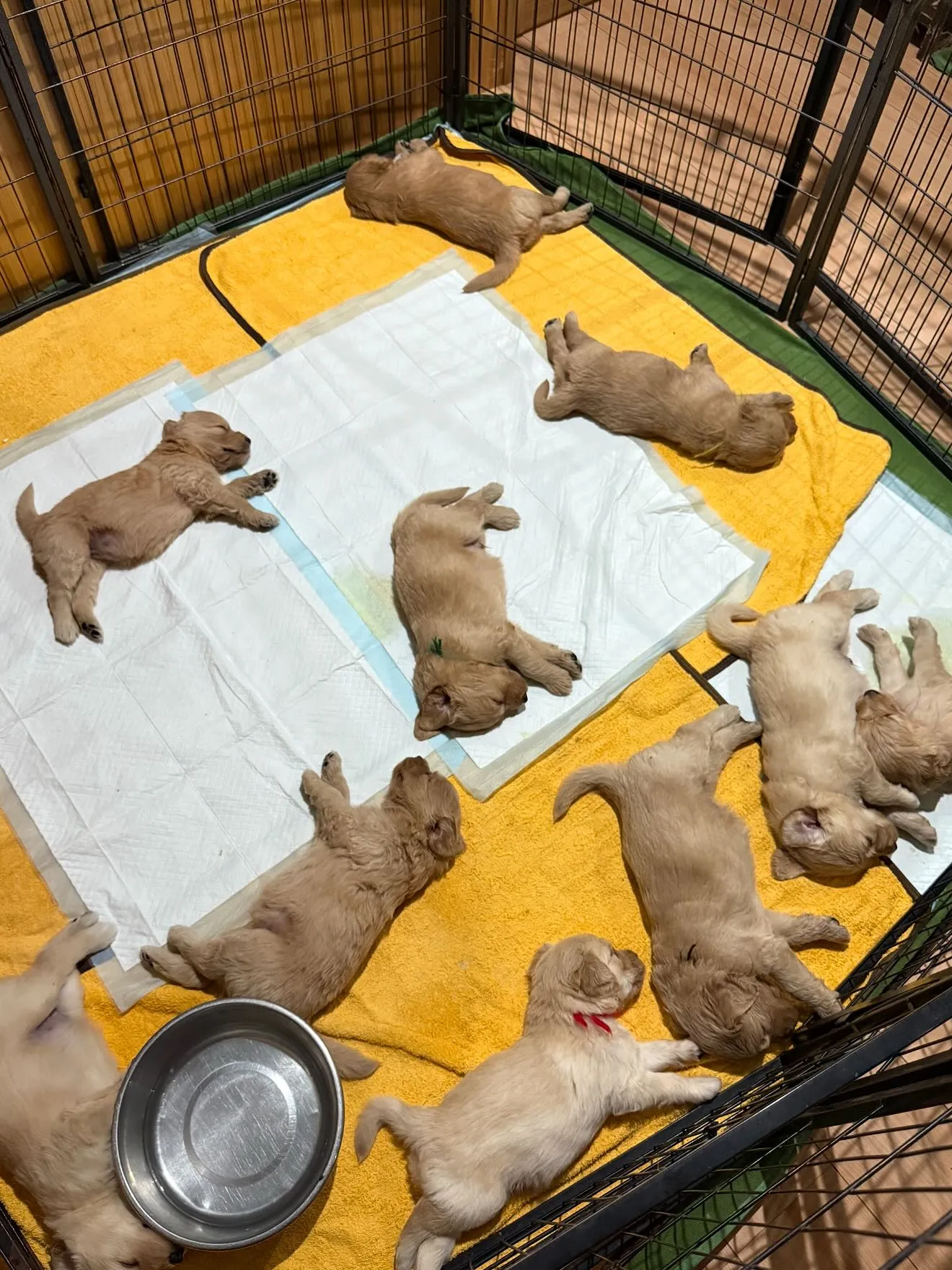 間も無く、今年一年が終わろうとしています。