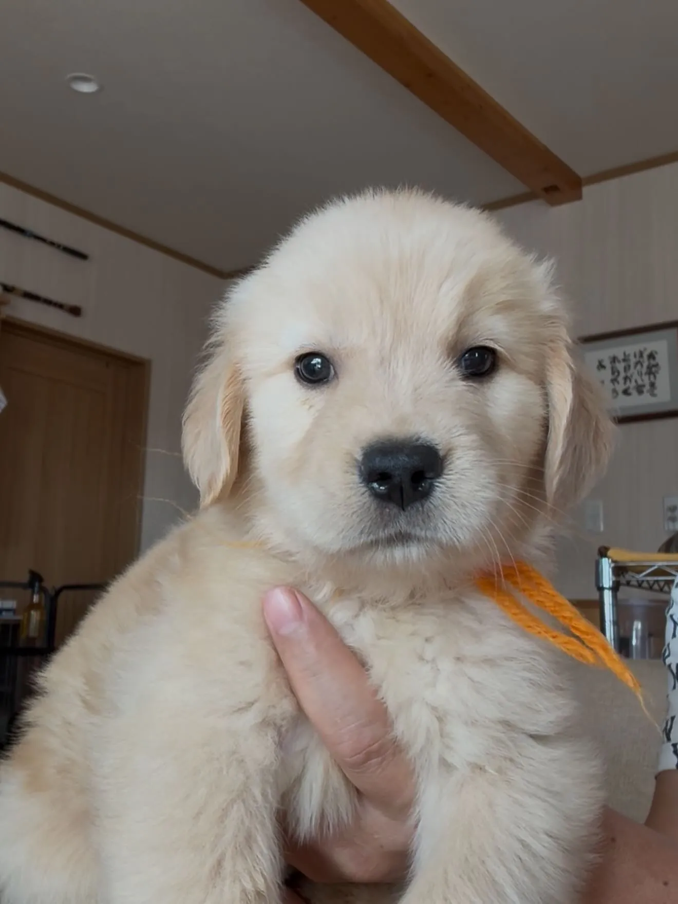 間も無く、今年一年が終わろうとしています。