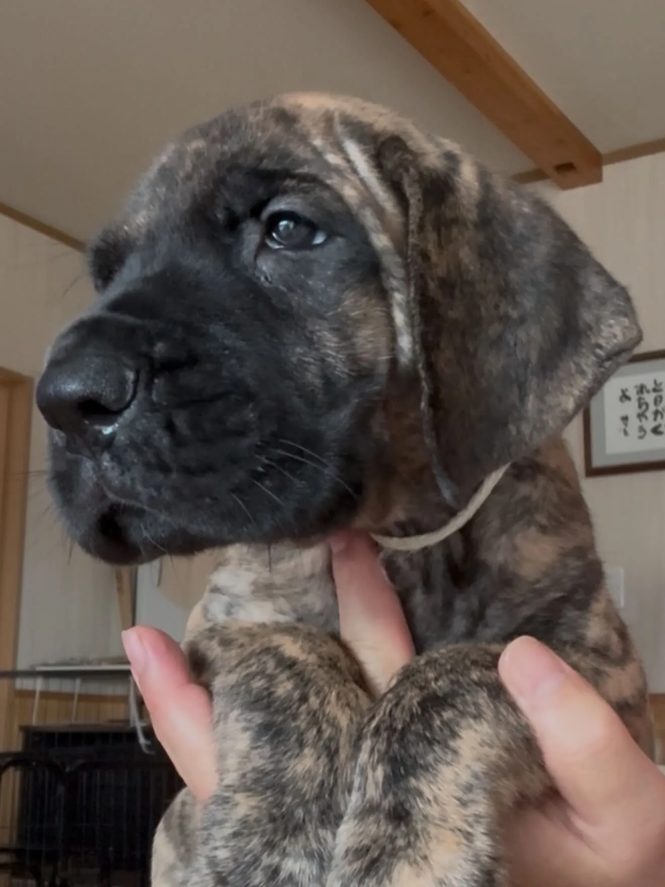 間も無く、今年一年が終わろうとしています。