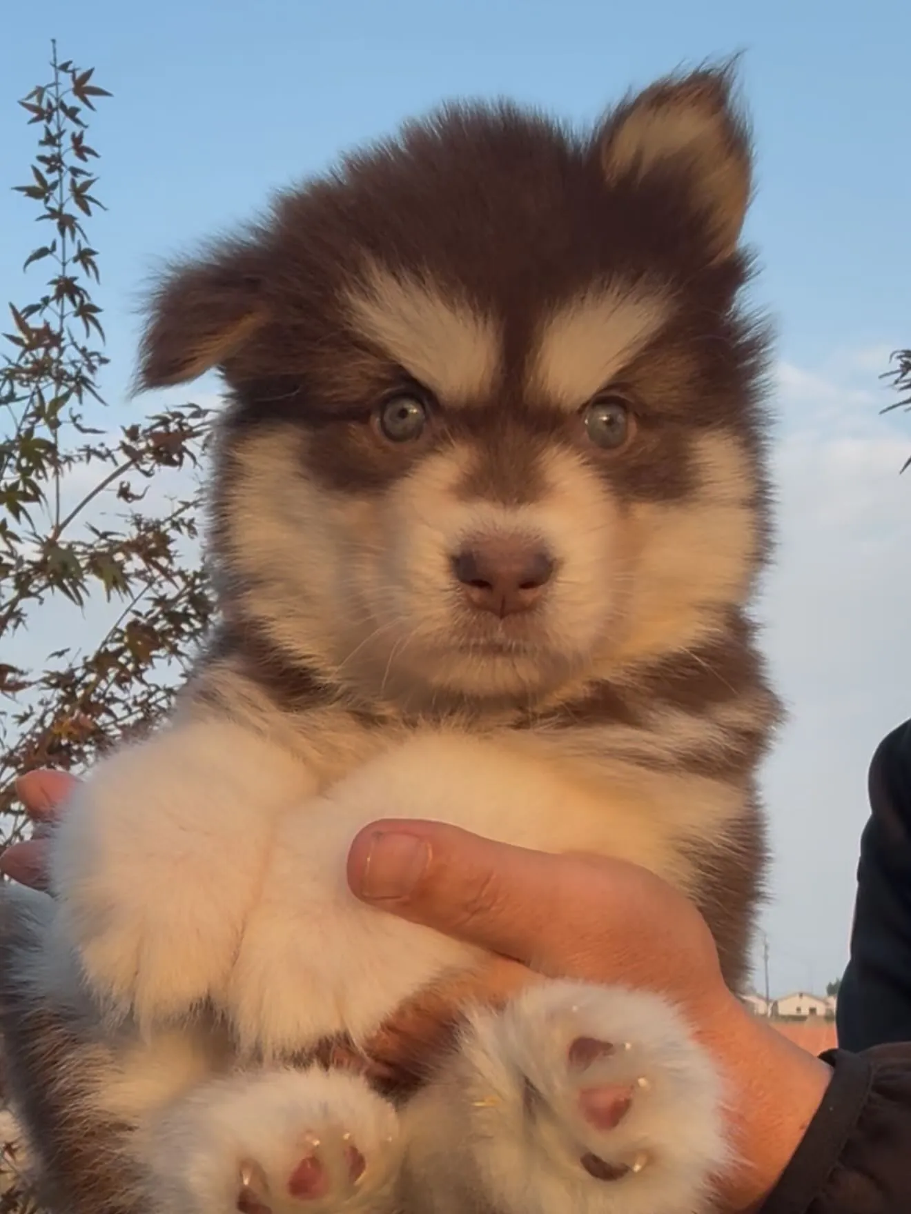 間も無く、今年一年が終わろうとしています。