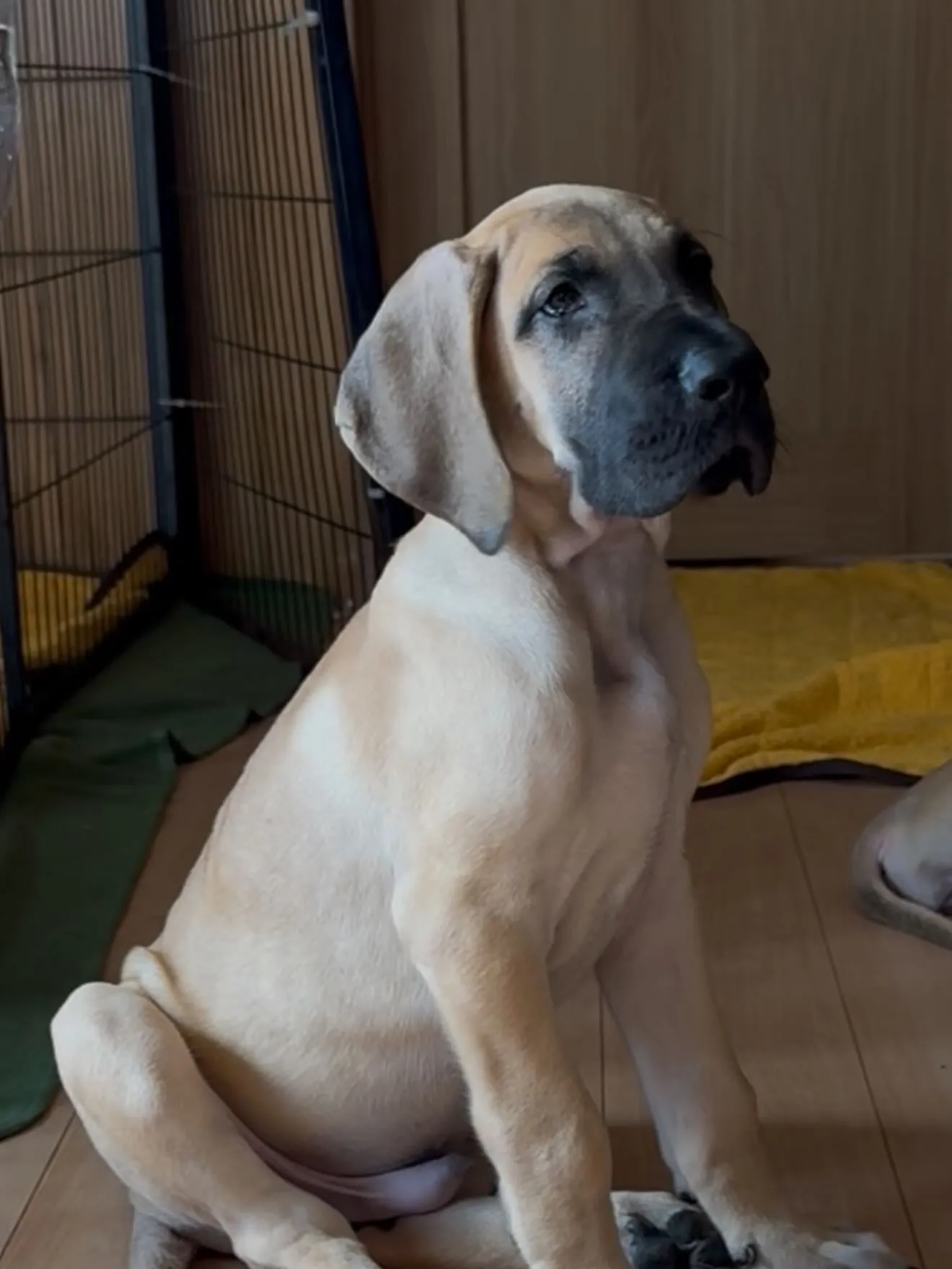 間も無く、今年一年が終わろうとしています。