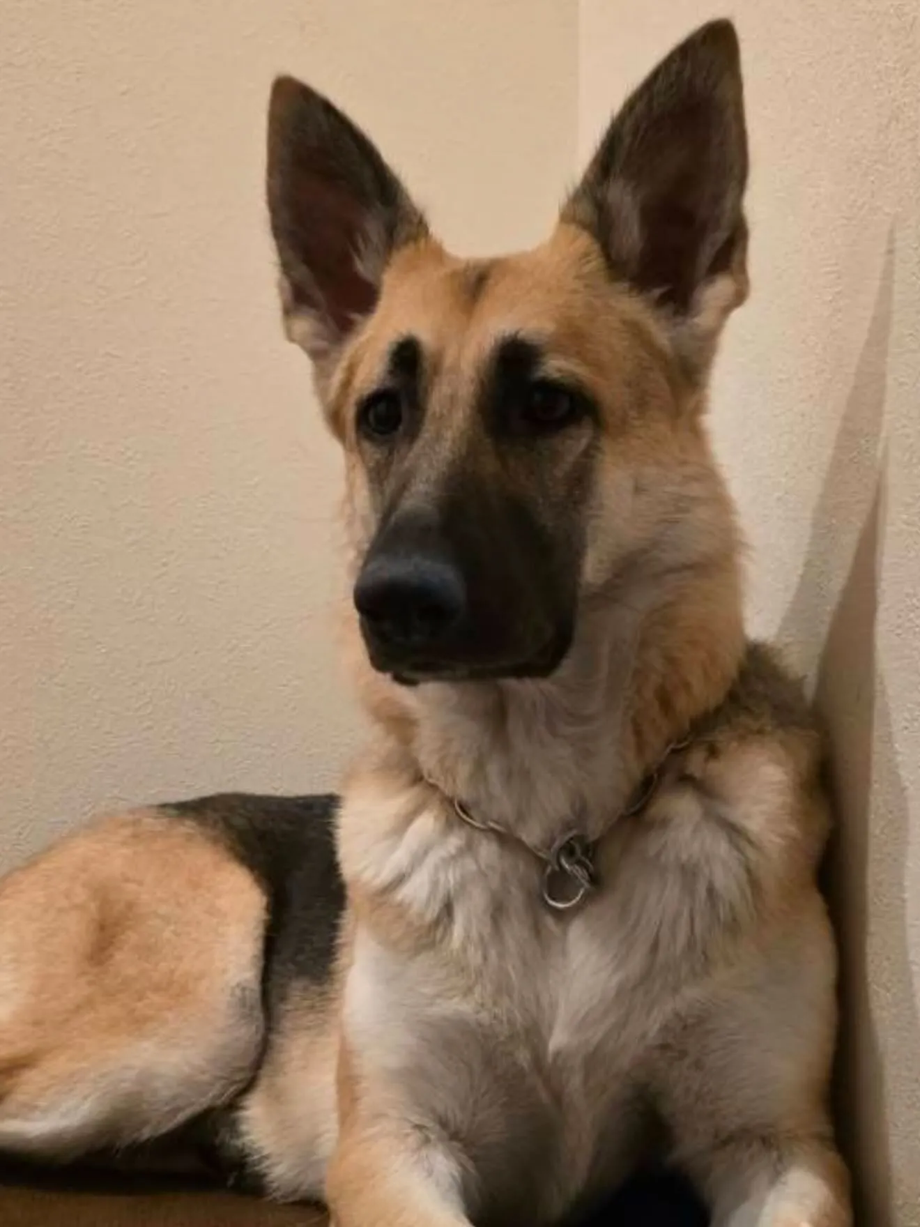 間も無く、今年一年が終わろうとしています。