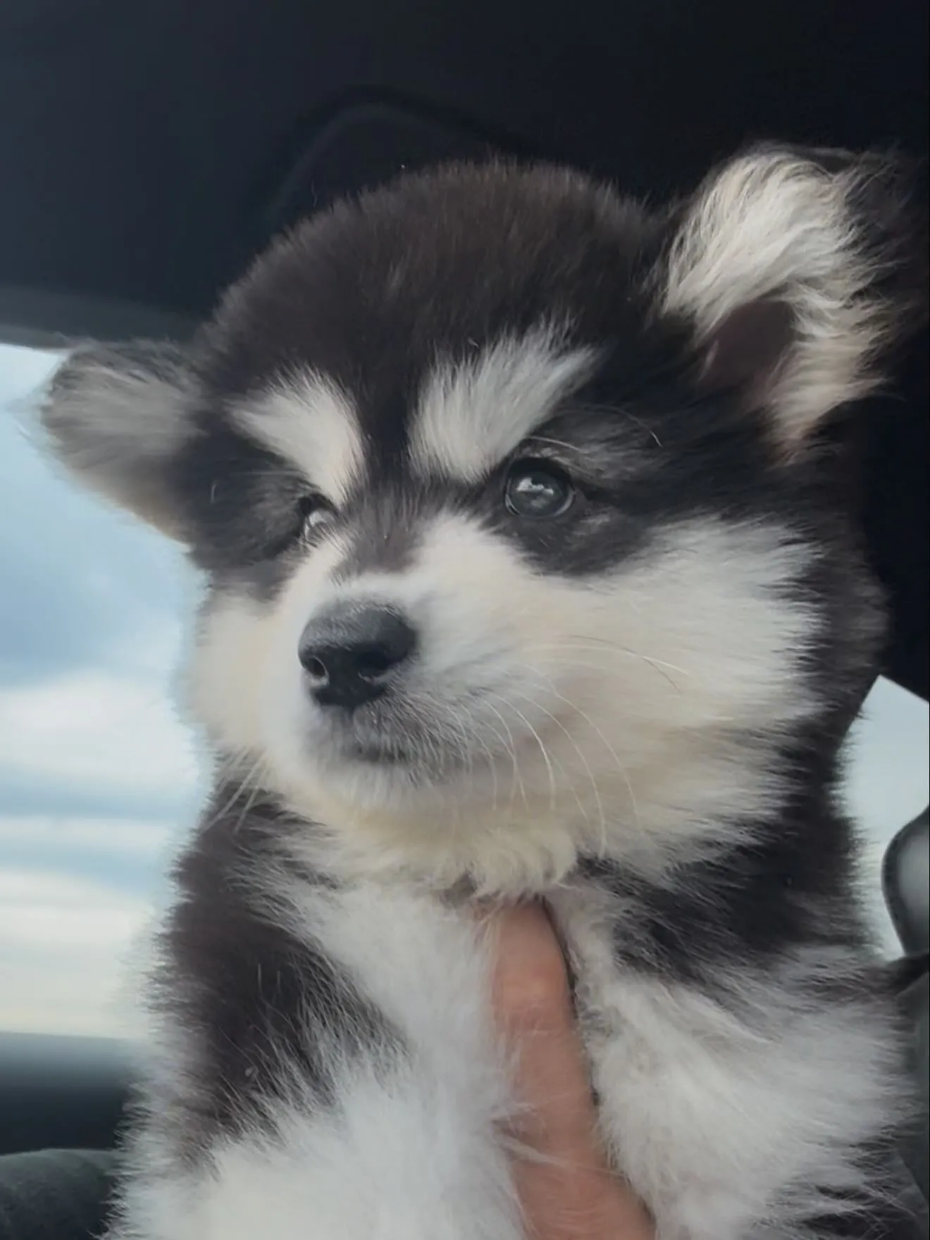 間も無く、今年一年が終わろうとしています。