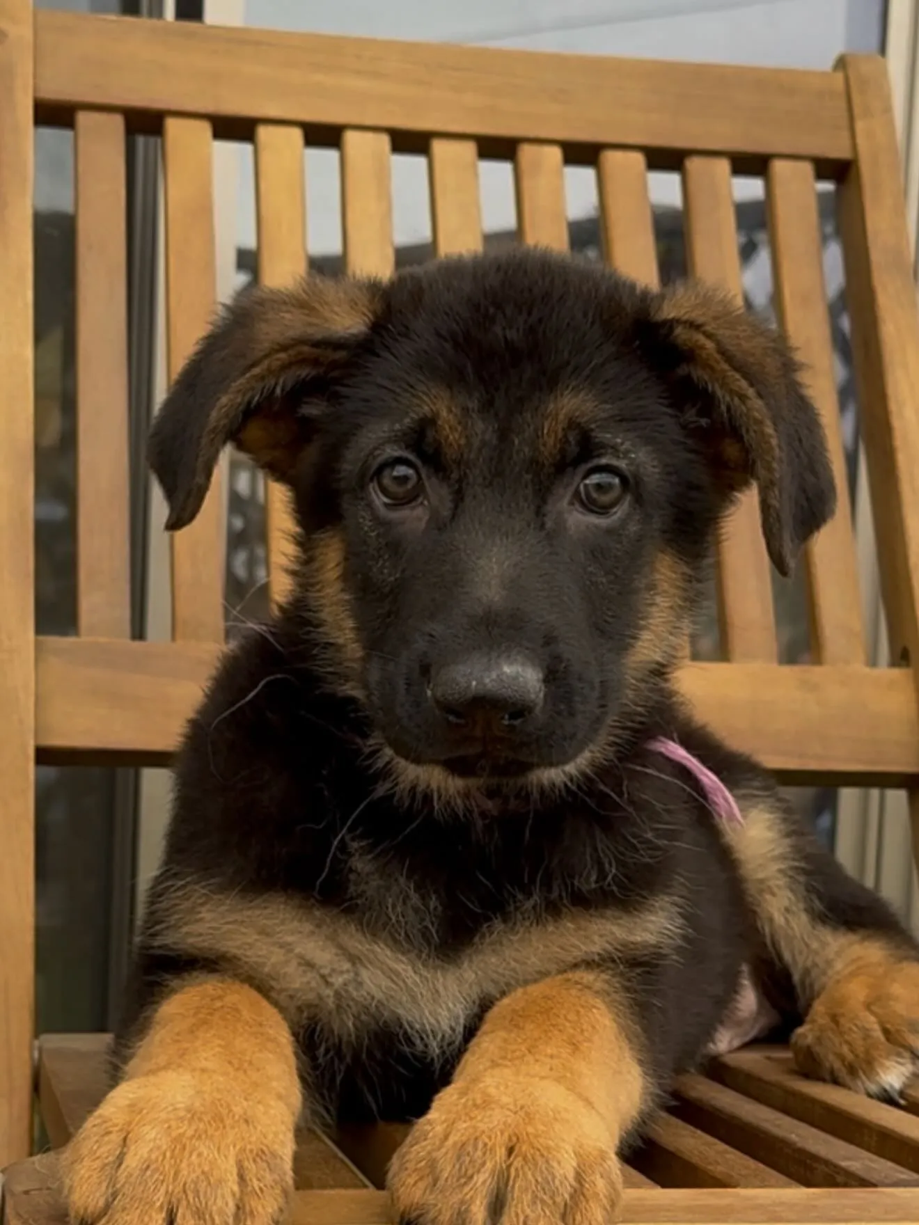 間も無く、今年一年が終わろうとしています。
