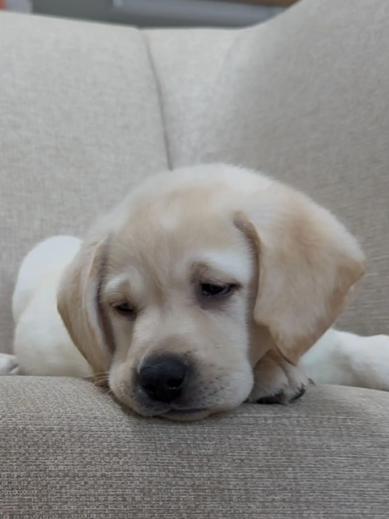 間も無く、今年一年が終わろうとしています。