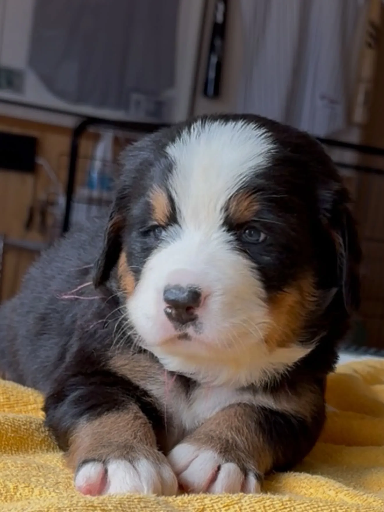 間も無く、今年一年が終わろうとしています。