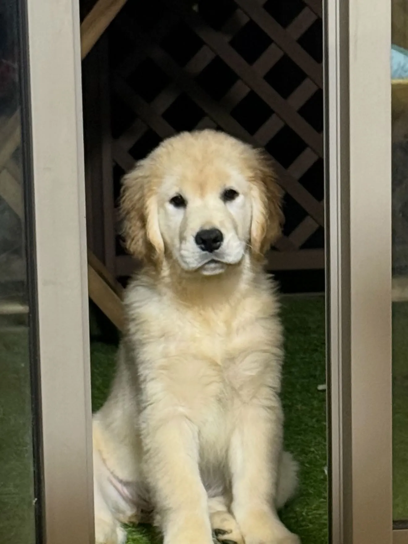 間も無く、今年一年が終わろうとしています。