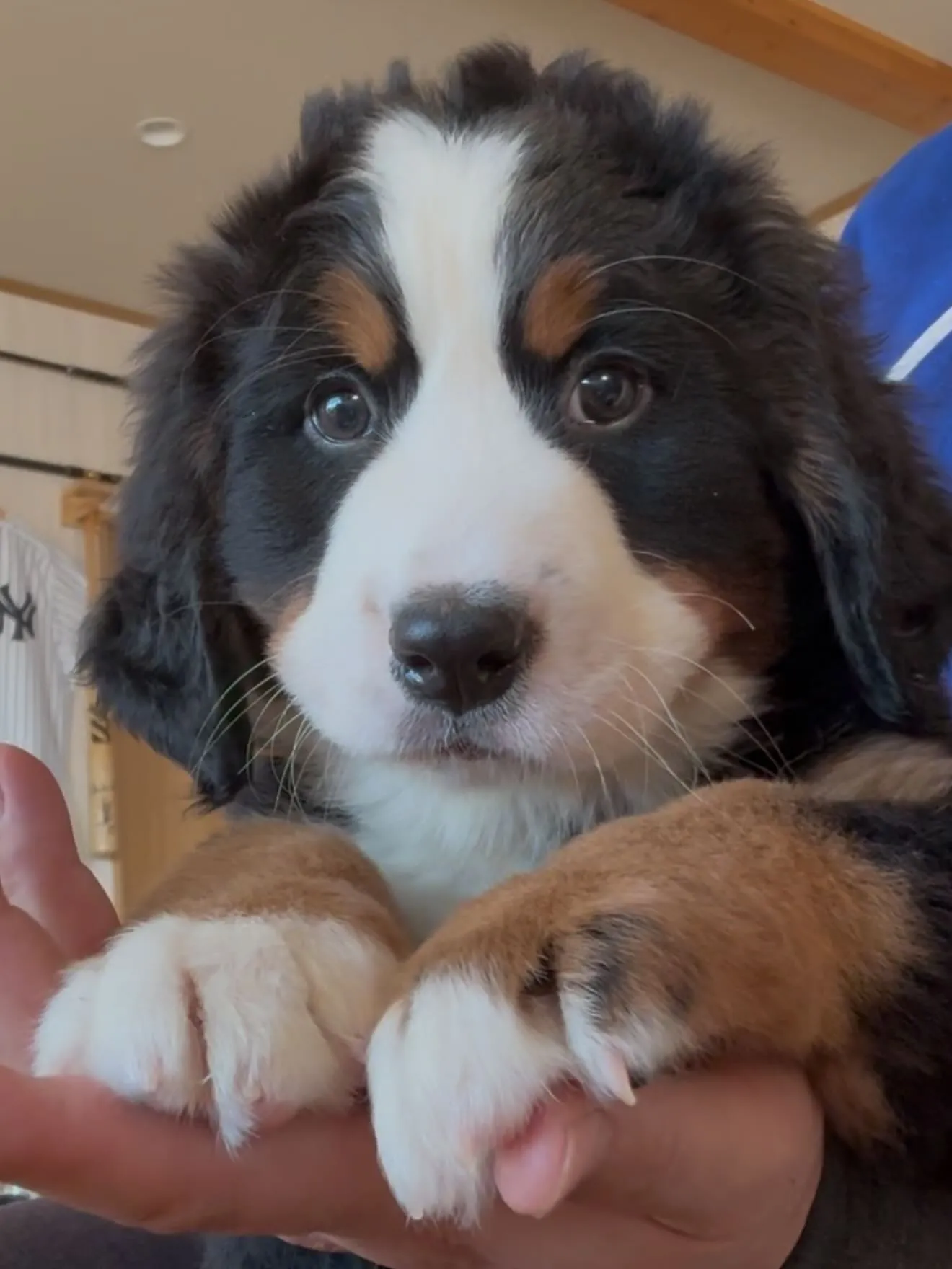 間も無く、今年一年が終わろうとしています。