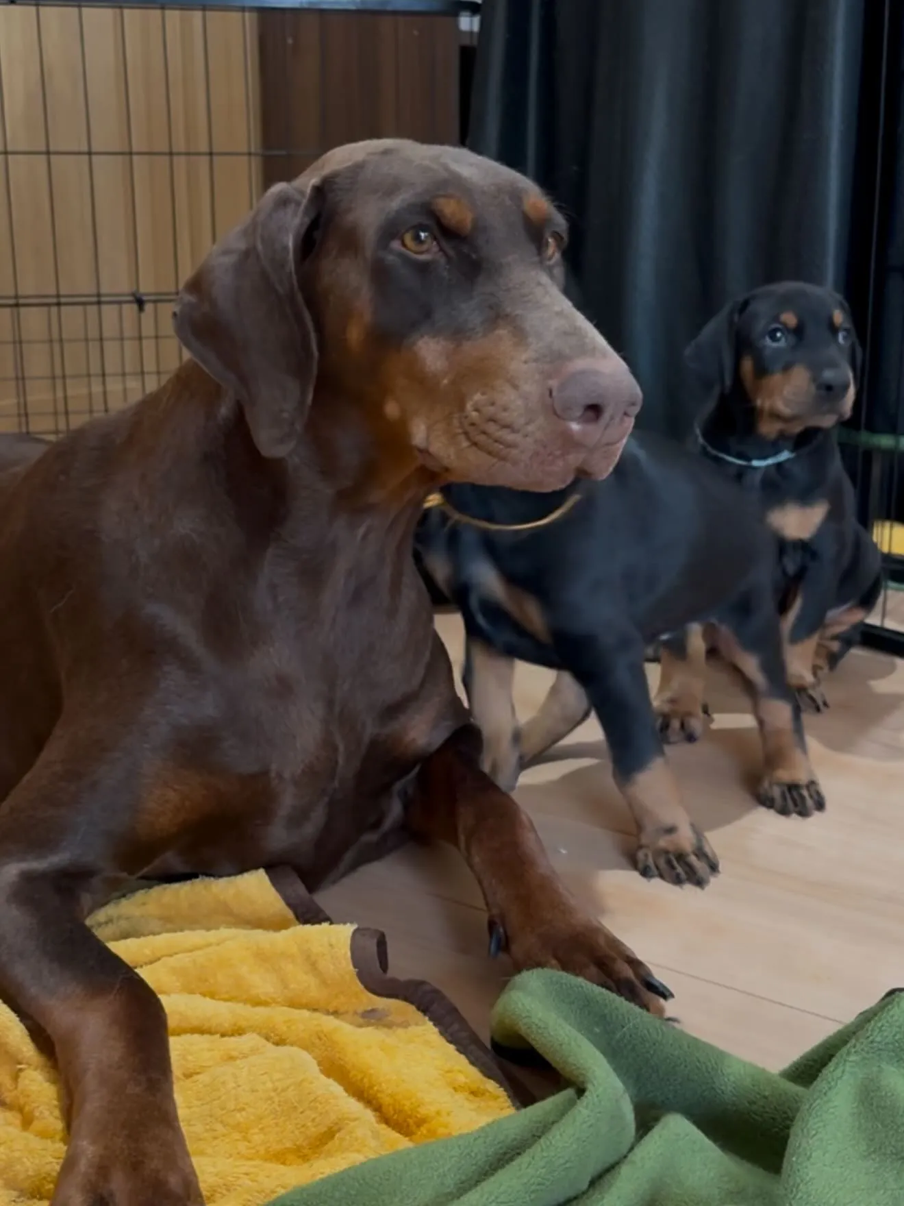間も無く、今年一年が終わろうとしています。