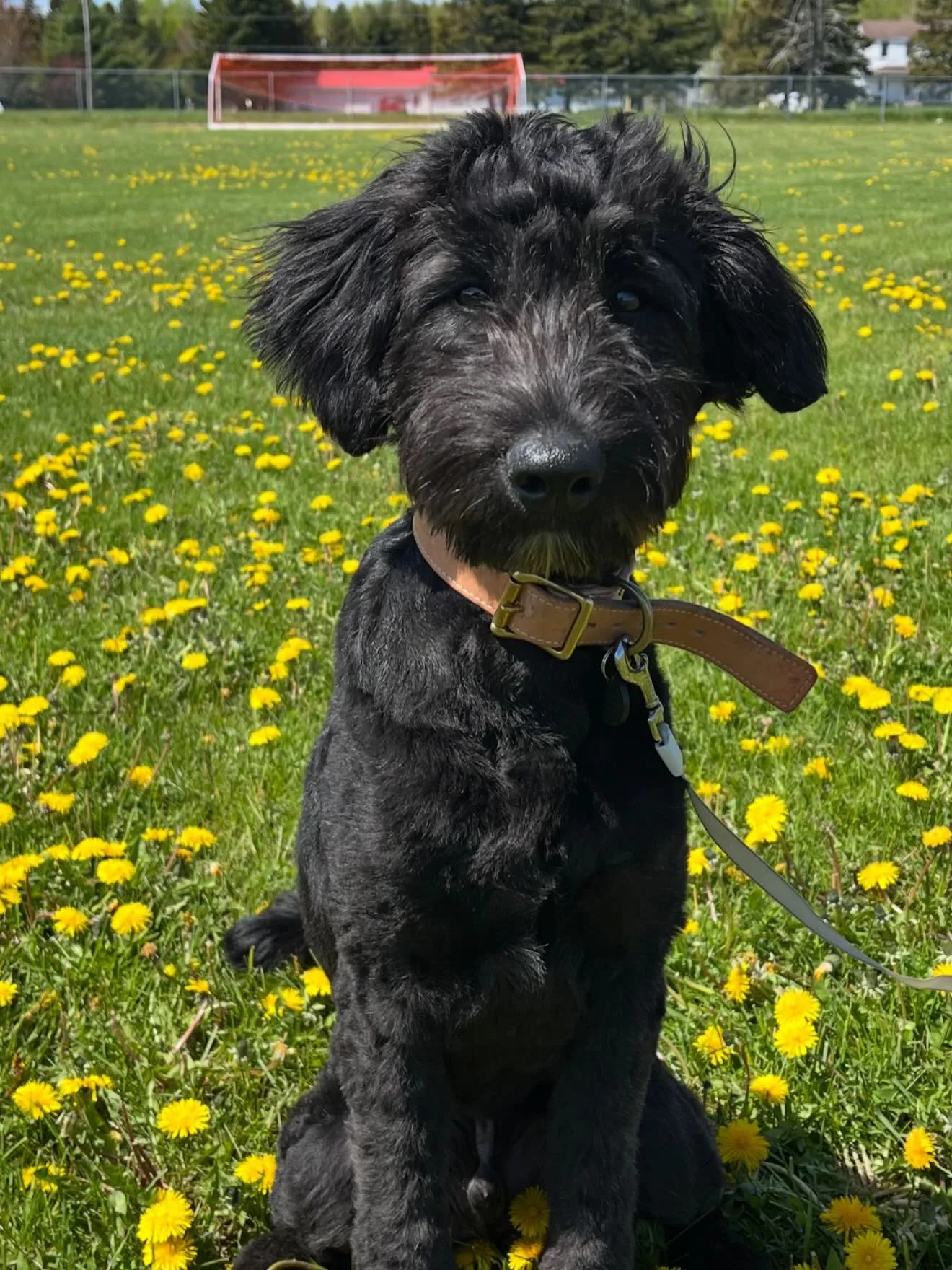 間も無く、今年一年が終わろうとしています。