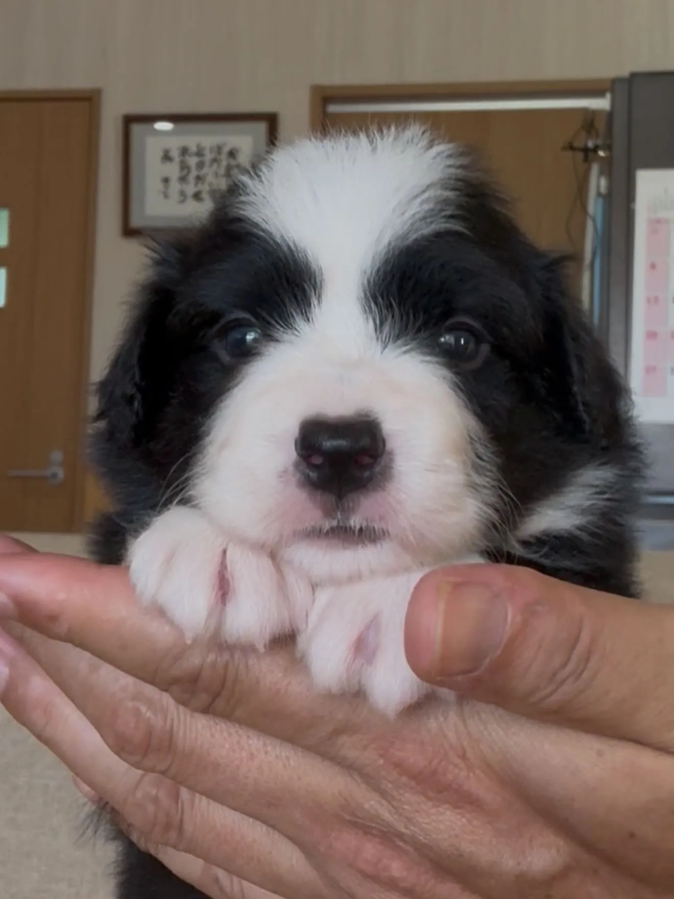 間も無く、今年一年が終わろうとしています。