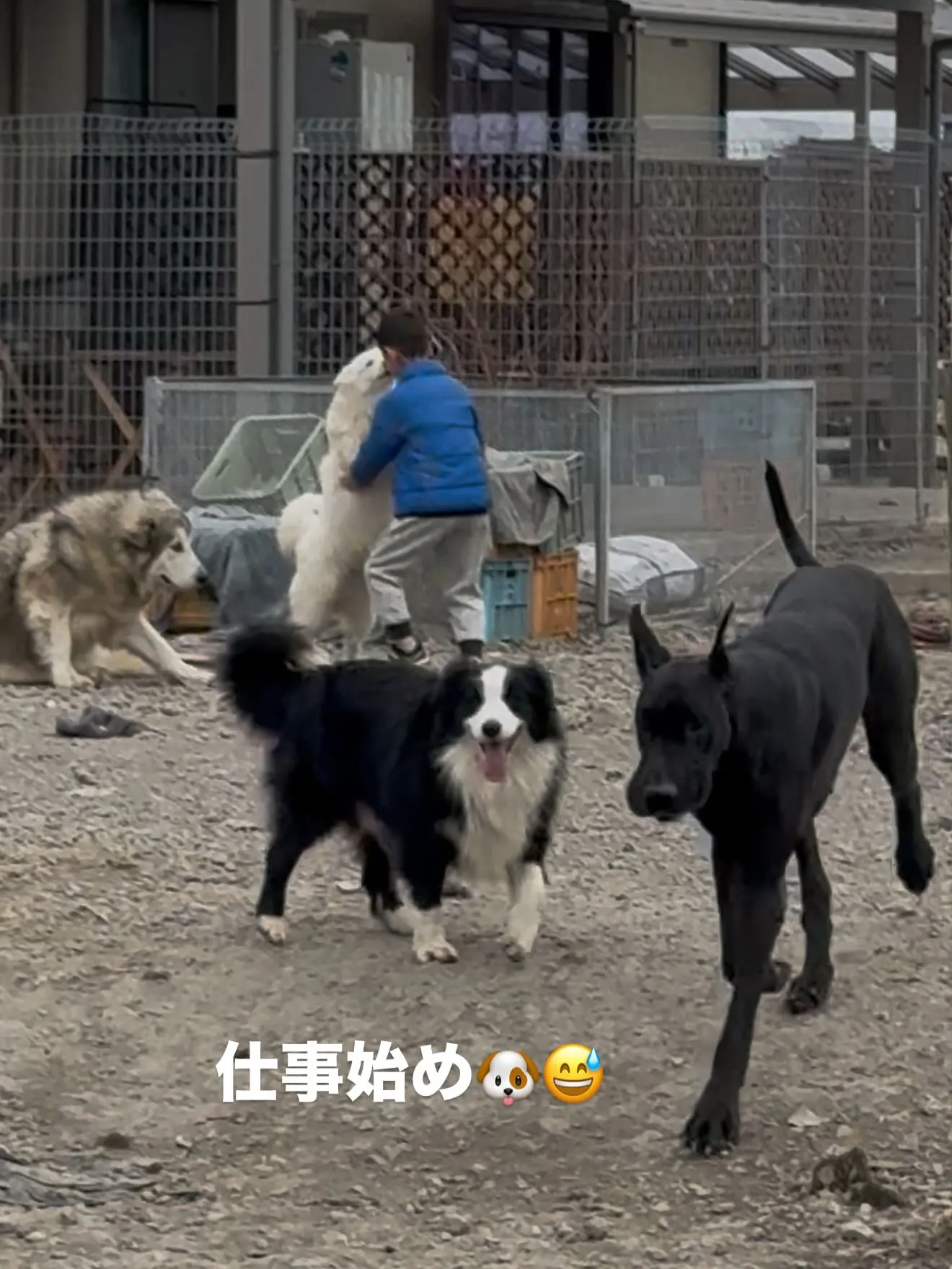 年中無休ですけど😄