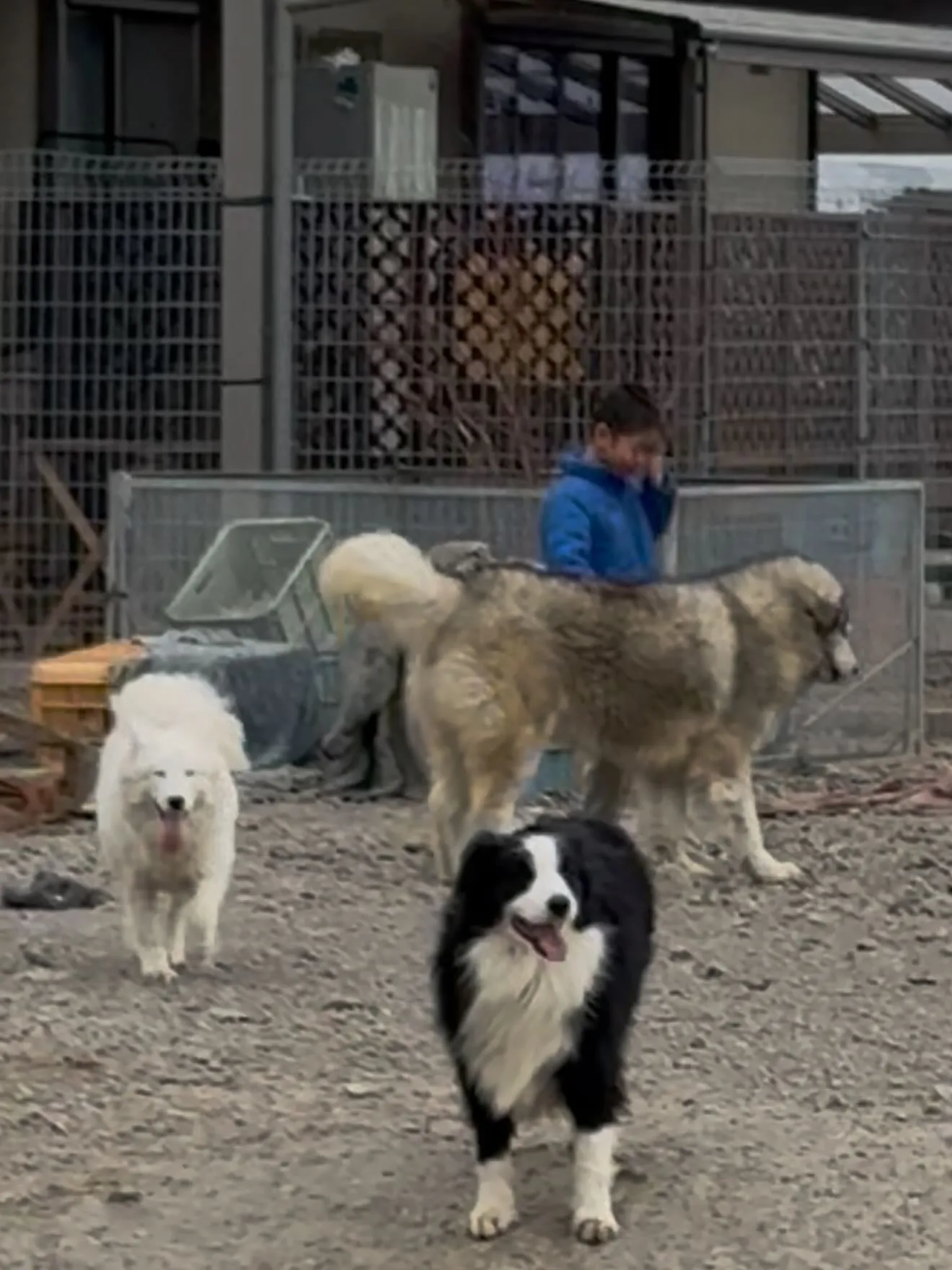 年中無休ですけど😄