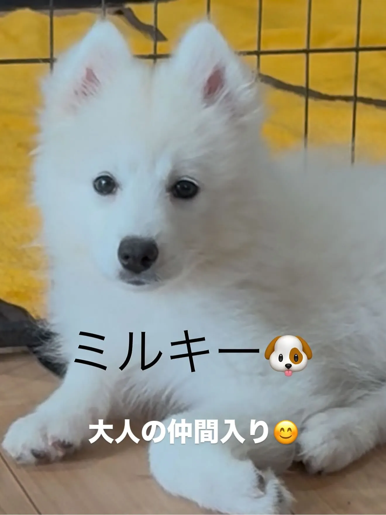 おはようございます🌅