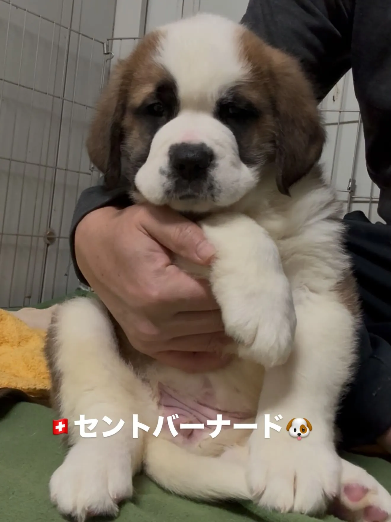 やって参りました🏠