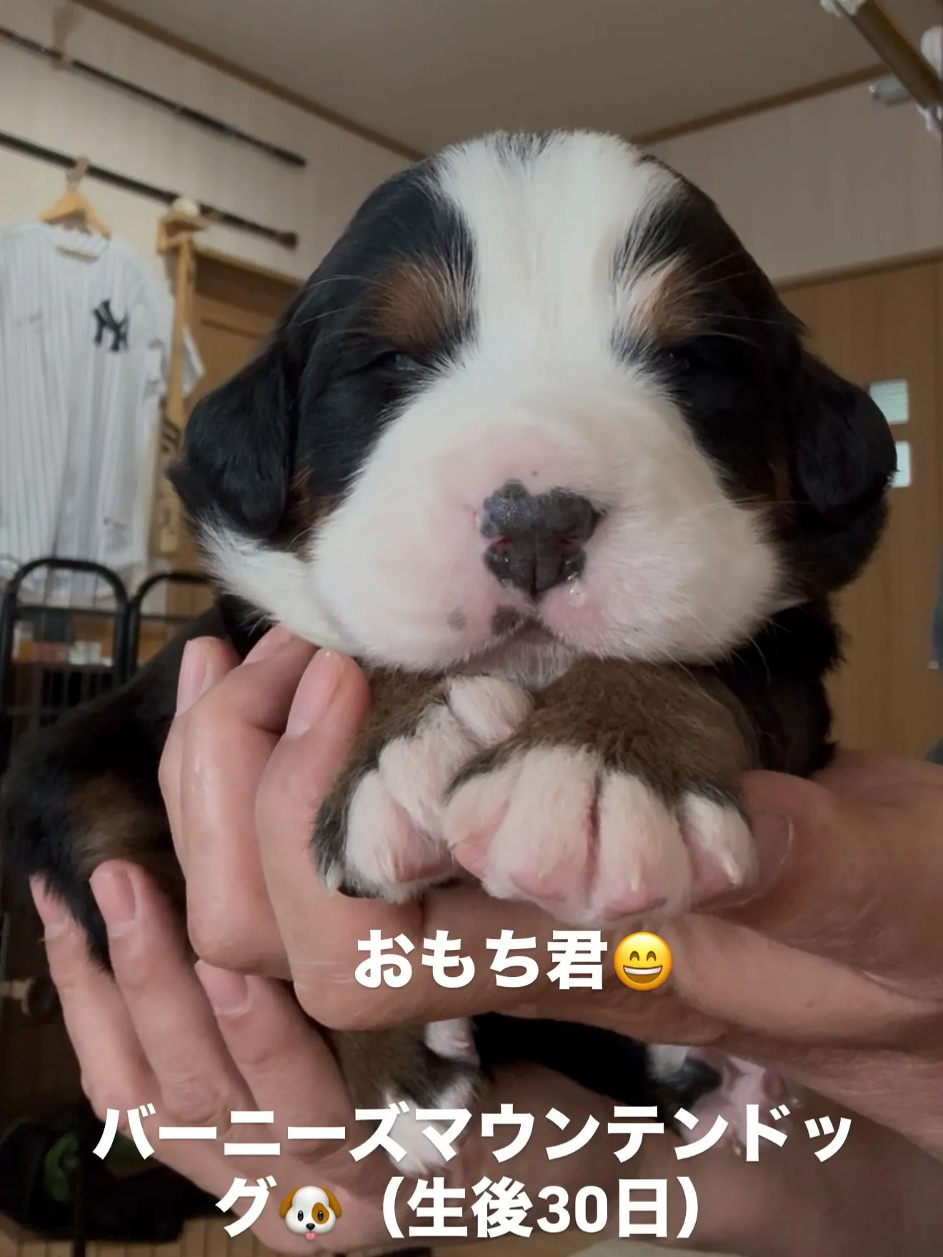 目が開きました😊