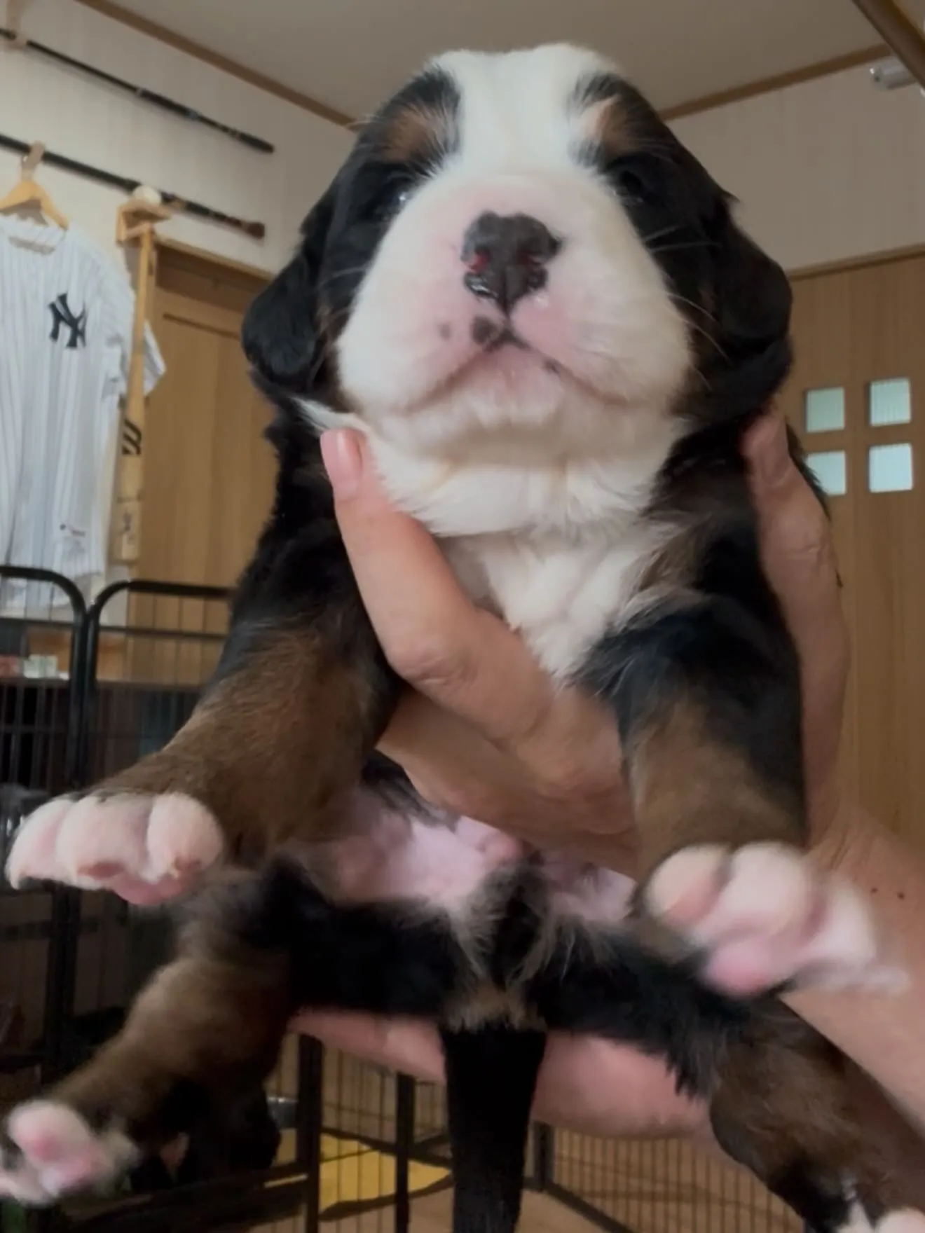 目が開きました😊