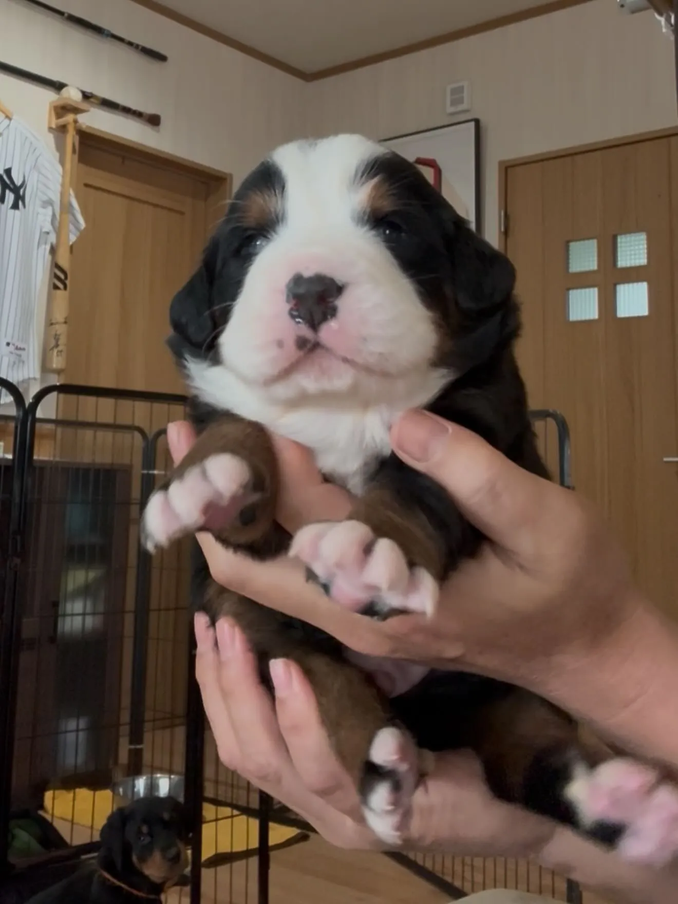 目が開きました😊