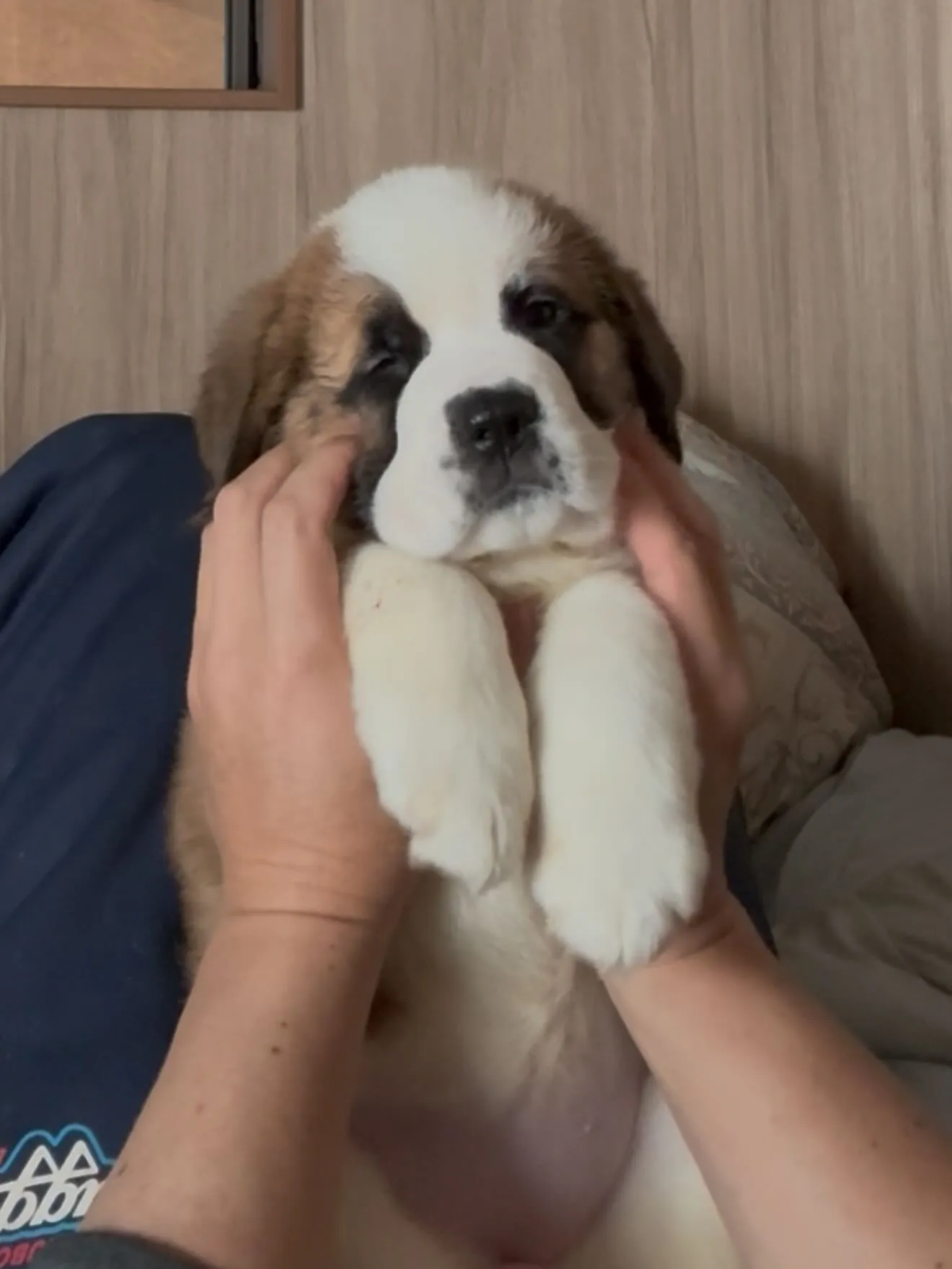 目が開きました😊