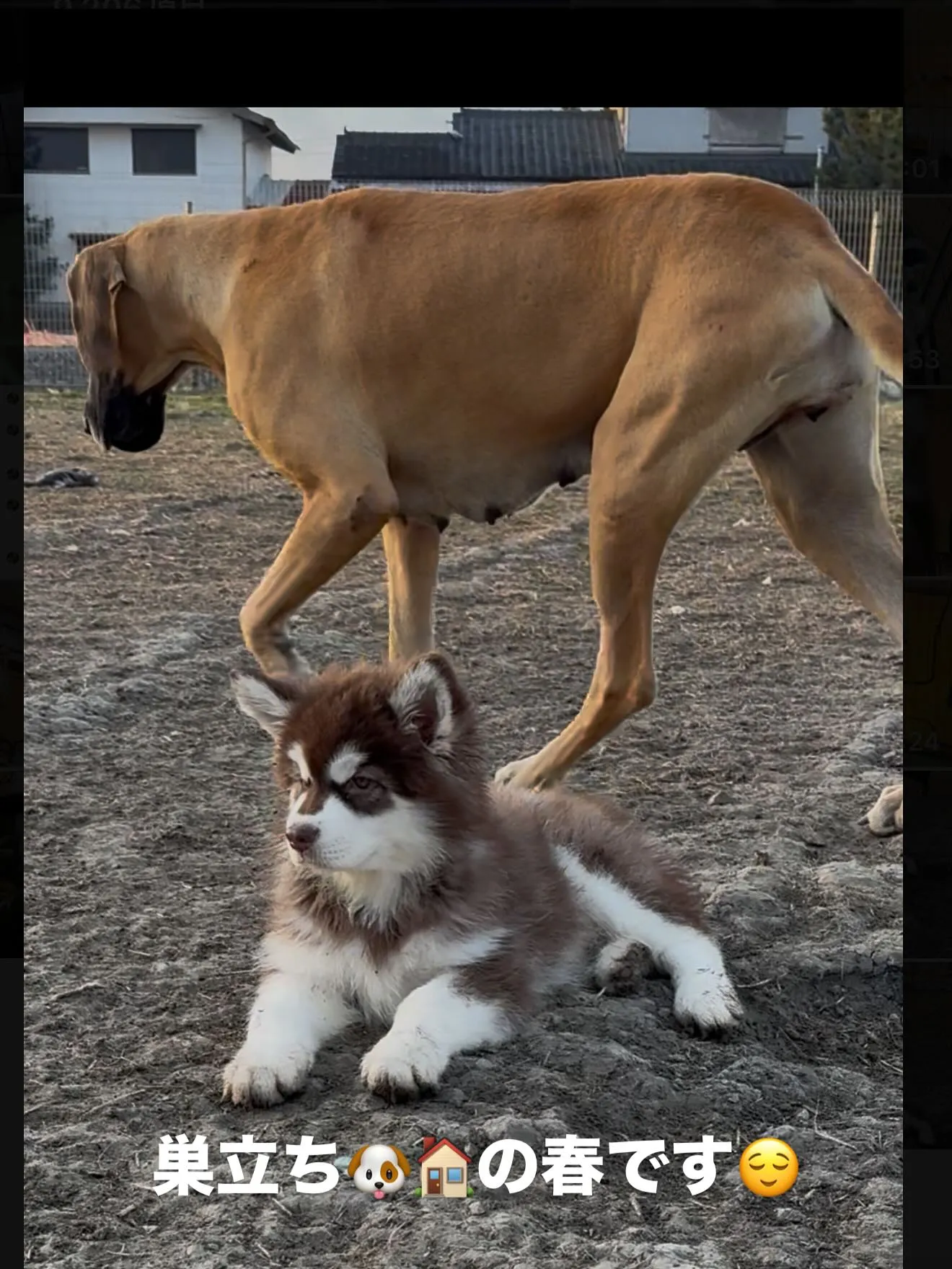 おはようございます。