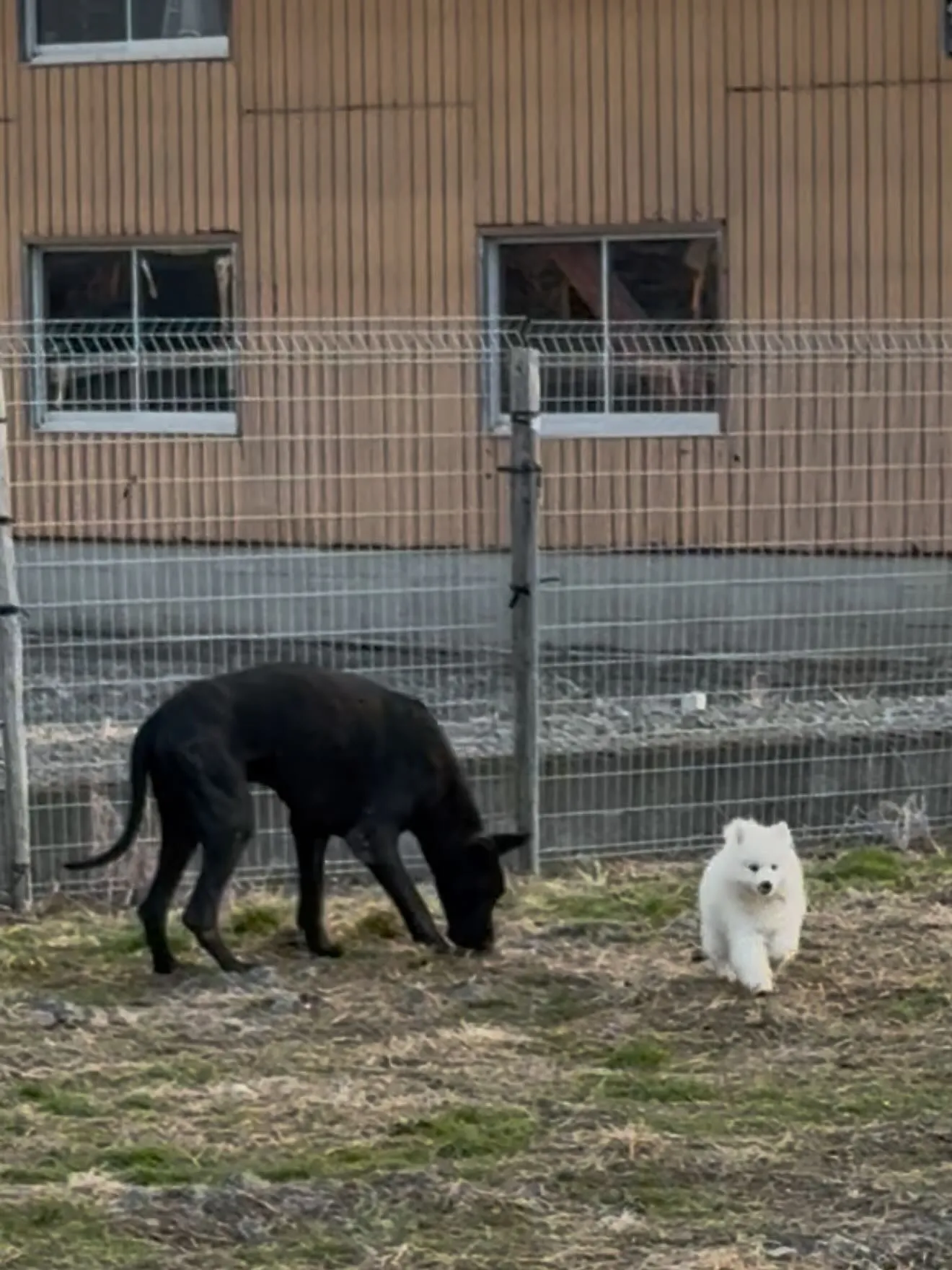 おはようございます。