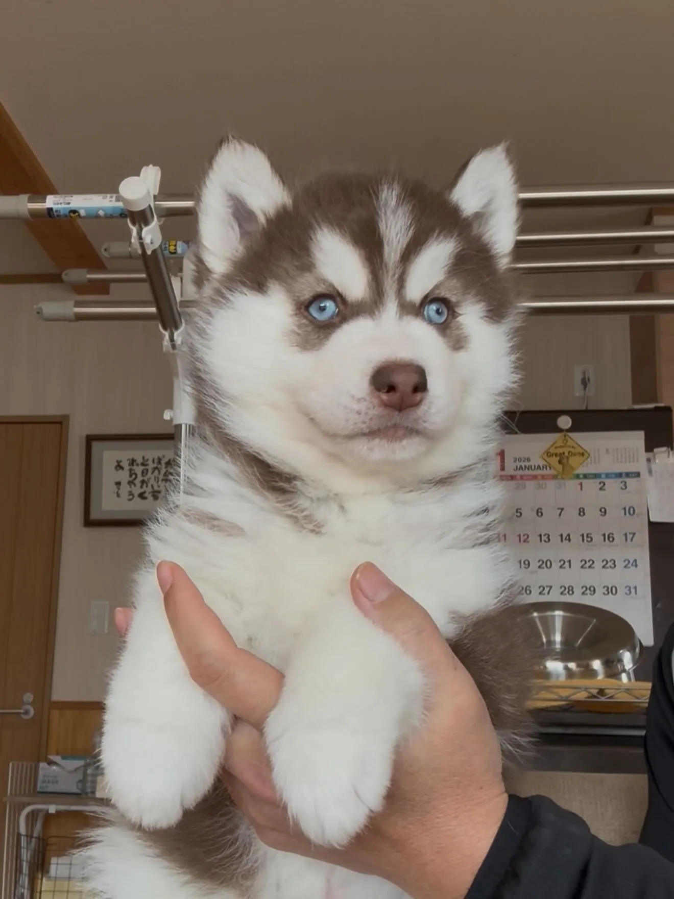 凄まじい成長です！
