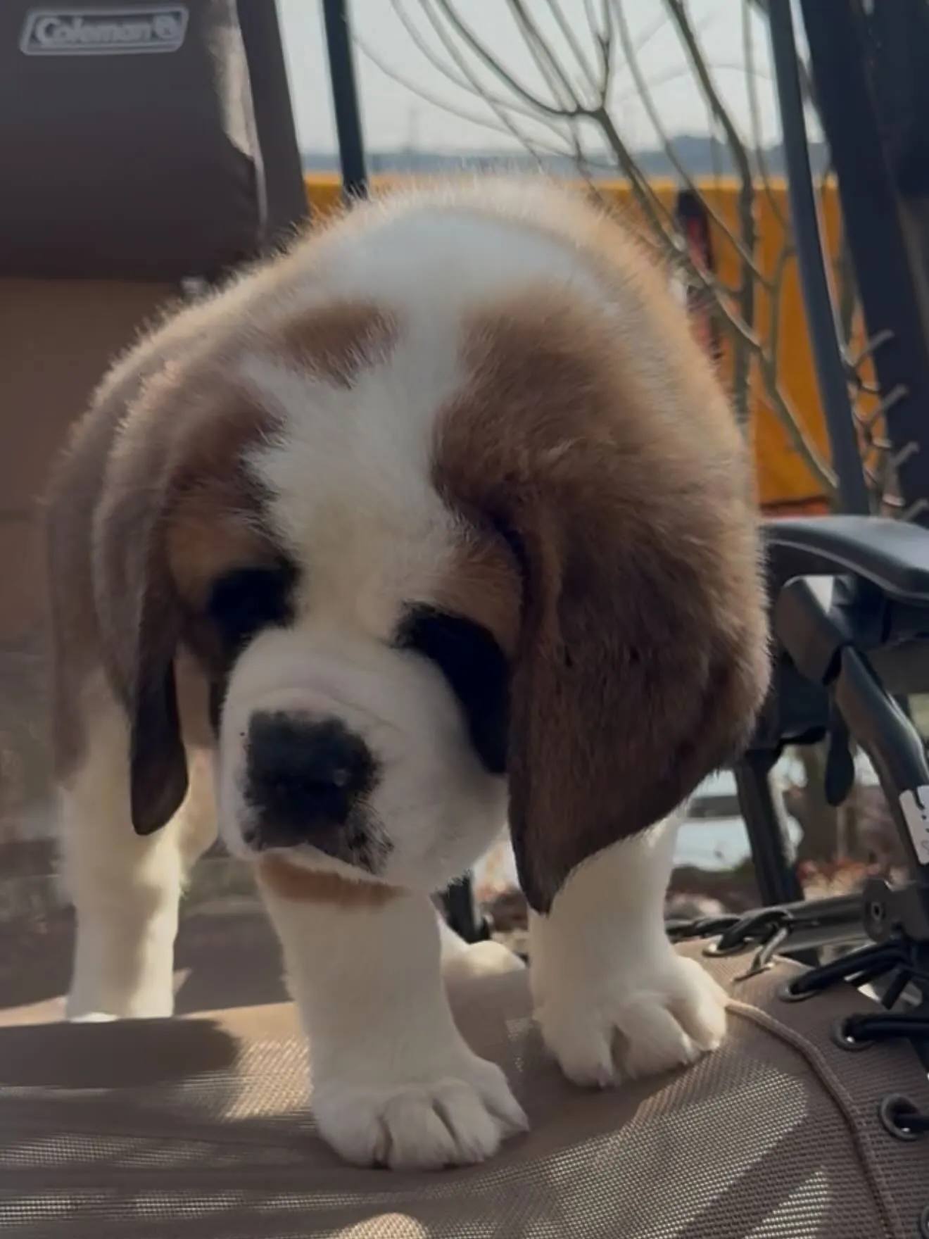 午前中のひととき😊🐶