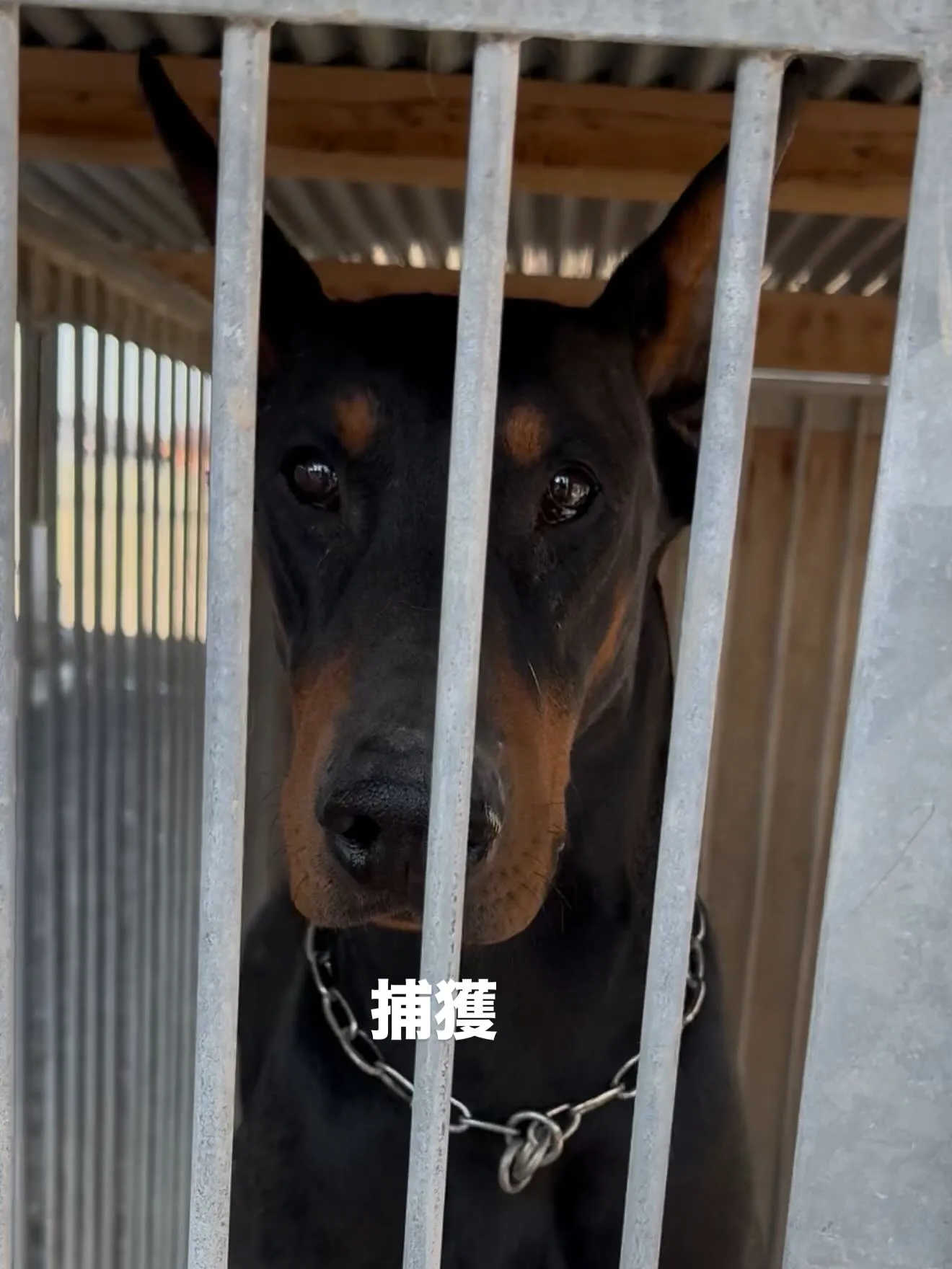 ぽかぽか陽気です😊🐶